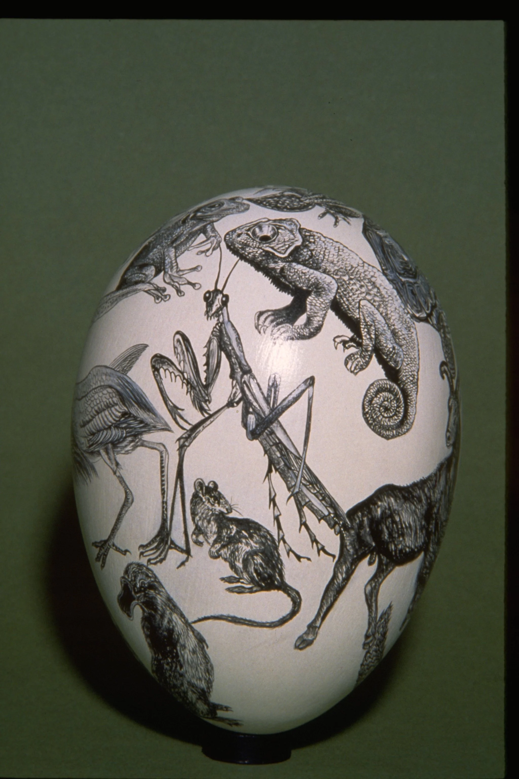 ORIGIN of SPECIES- Side 1 - Lathed wood/Pigment - 4.5"X5.5" - This wooden ellipse represents a mere fraction of the numerous species with which we are blessed to share the planet. 