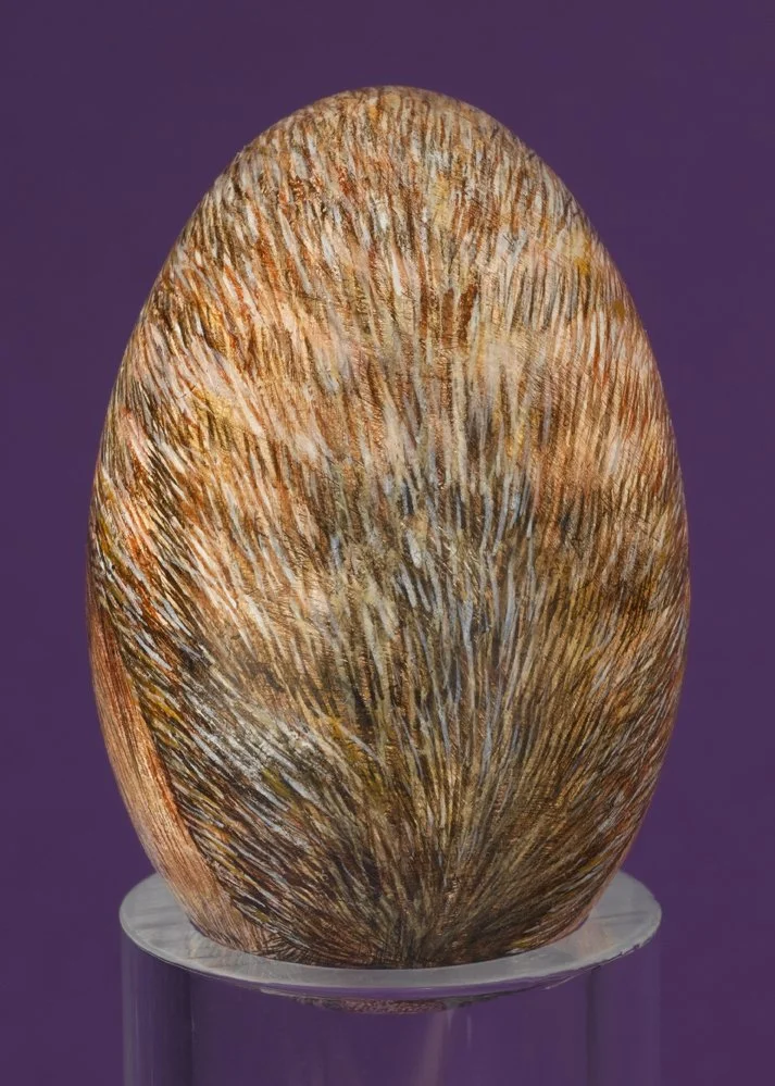 SQUIRREL - Back