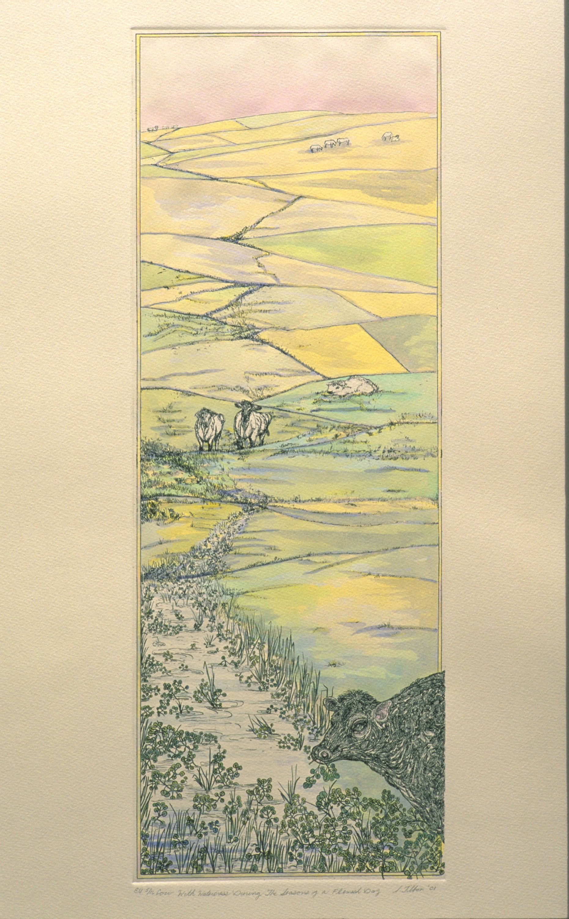 W is for - WATERCRESS - Intaglio and watercolor - 9"X24" - Cows eating watercress and the landscape from my cottage window in Belgium.