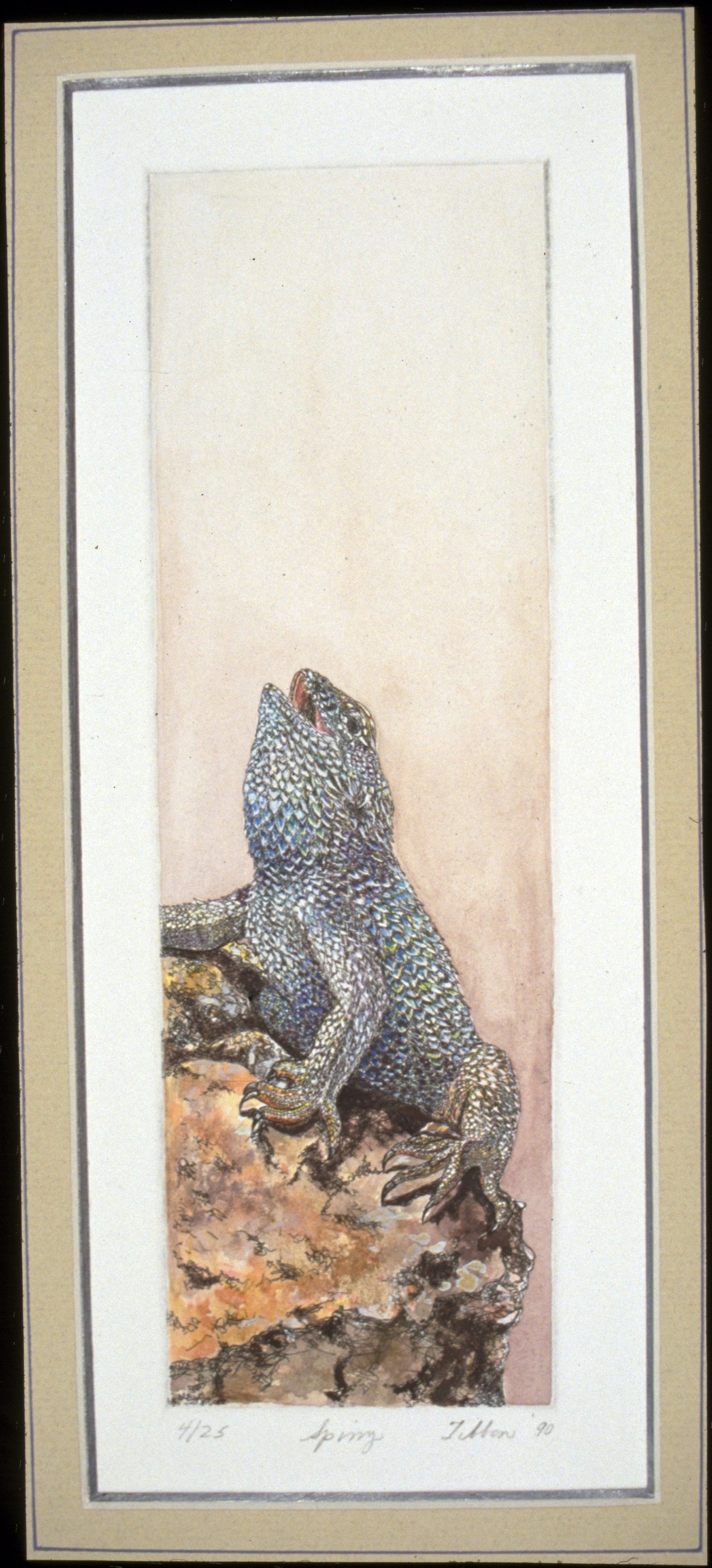 SPINY LIZARD - Intaglio and Watercolor - 4"X12" - The rhythmic breathing of the delicate spiny lizard is both gentle and strong. She makes on more aware of our own breathing. 