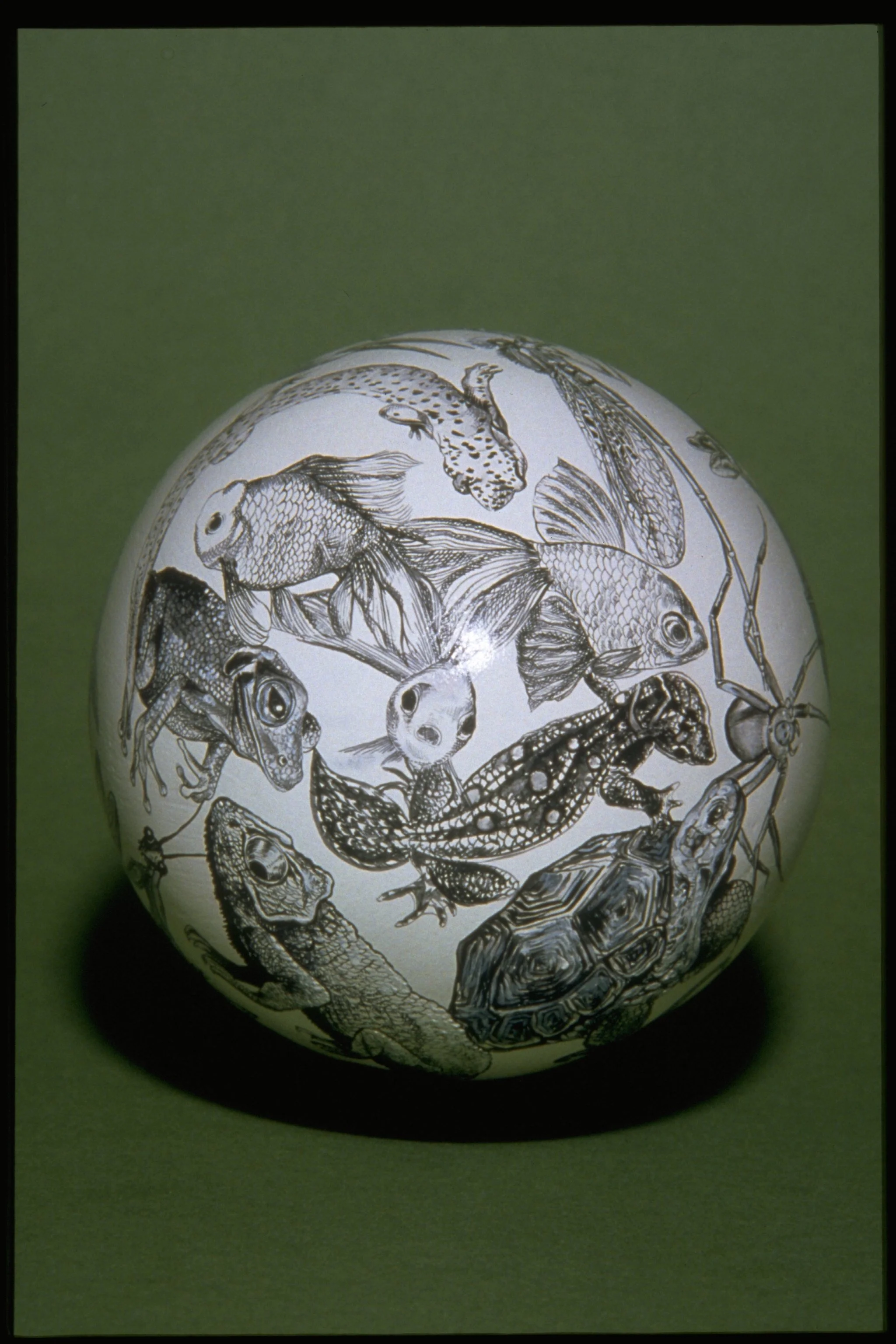 ORIGIN of SPECIES - Top view 