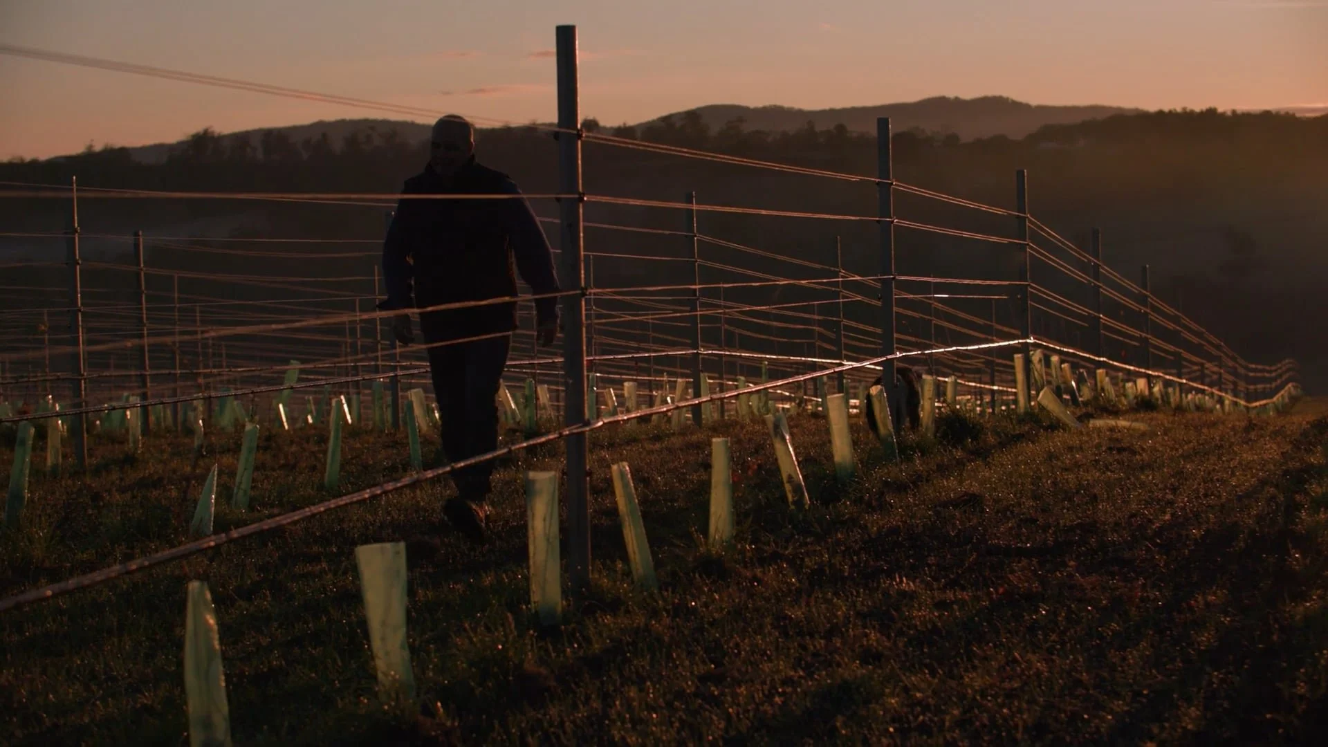 GoFarm - Transforming Australian Agriculture