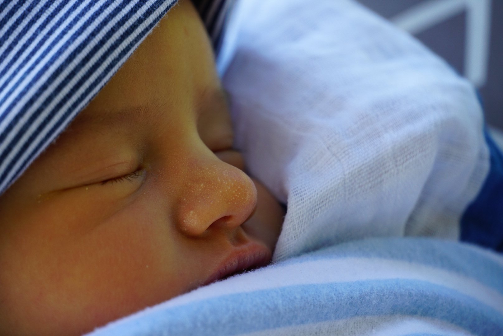 Baby Harry