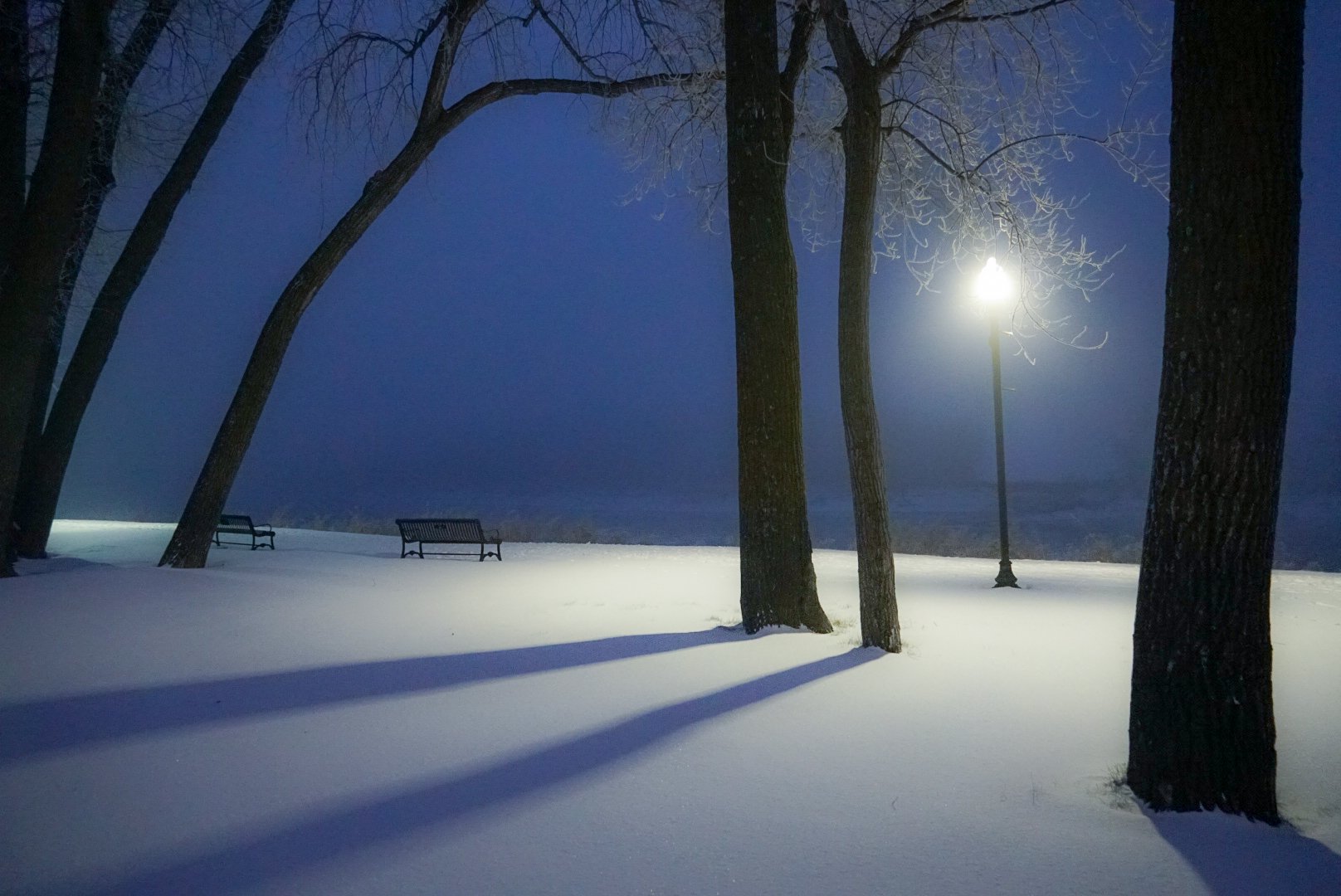 Narnia Vibes at Dawn