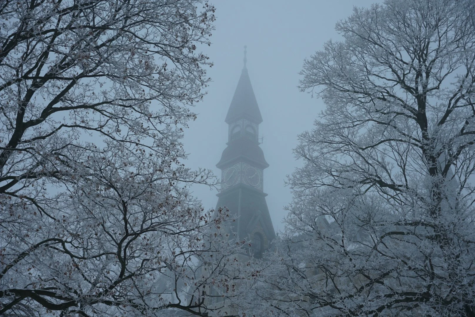 Winter at Mackay Hall