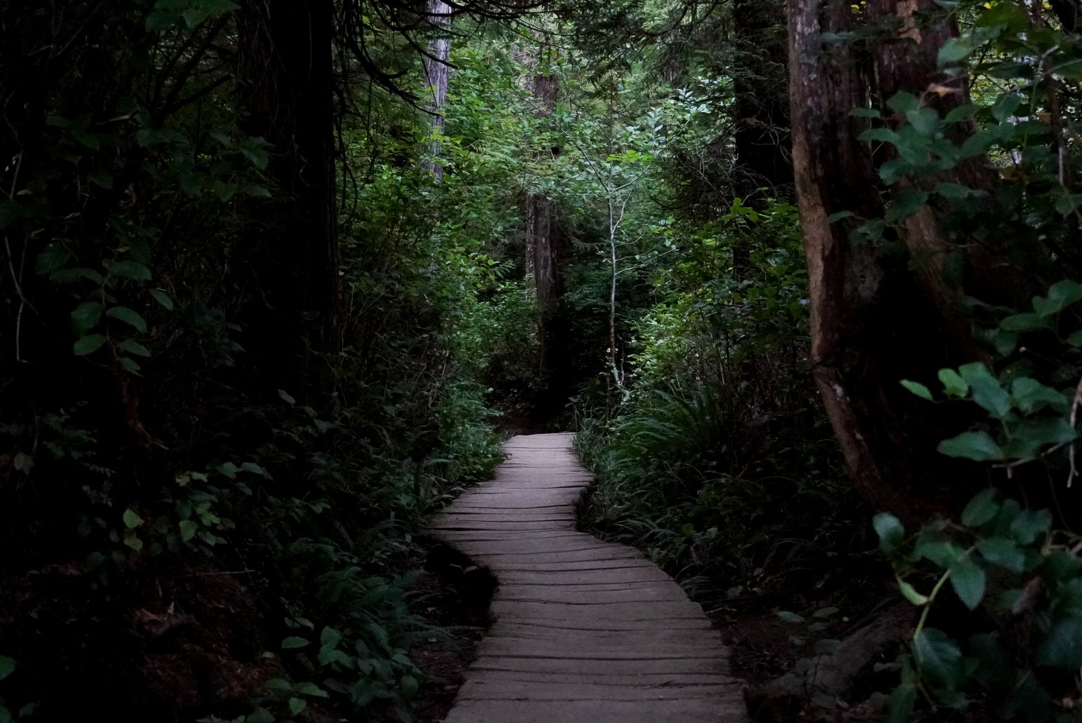 Cape Flattery Pathway Project #1