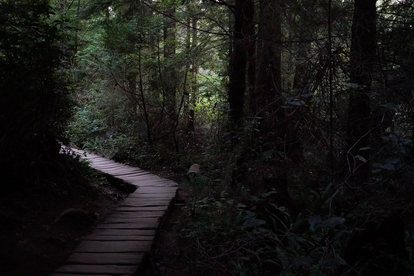 Cape Flattery Pathway Project #3