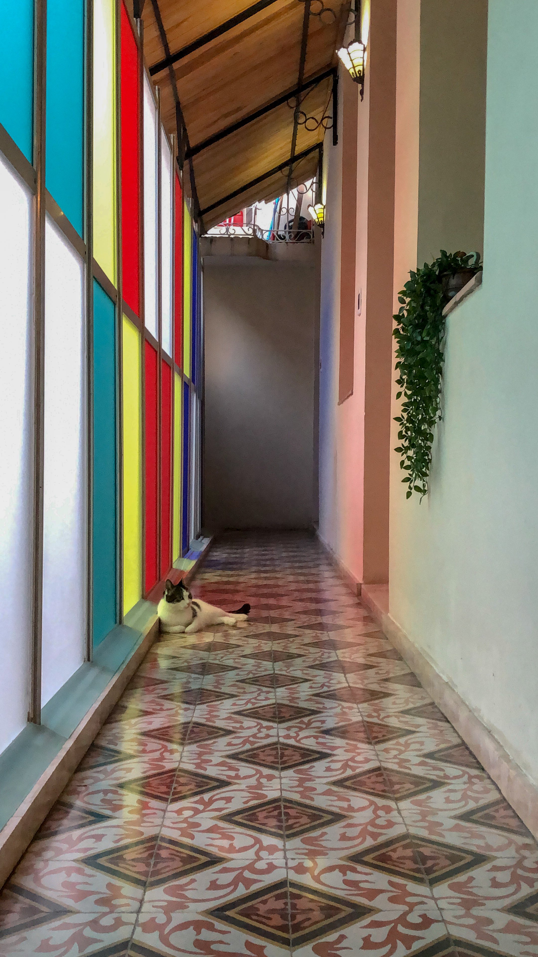La casa de Lorena en Havana