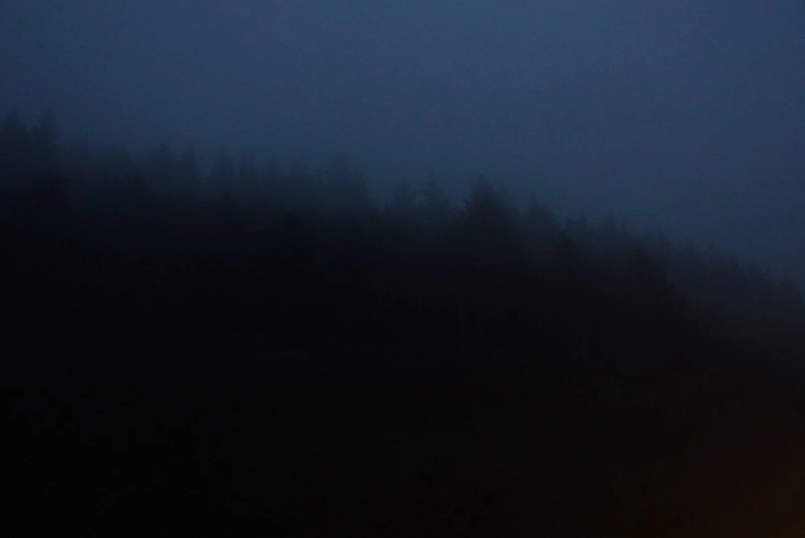 Spooky Trees on the 101