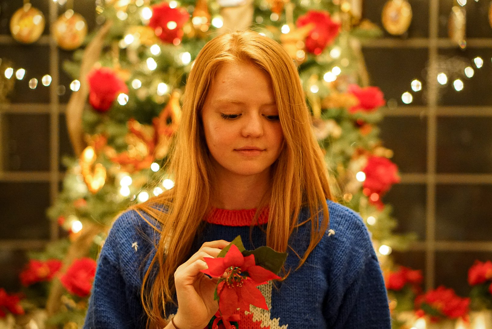 Elle and The Poinsettia