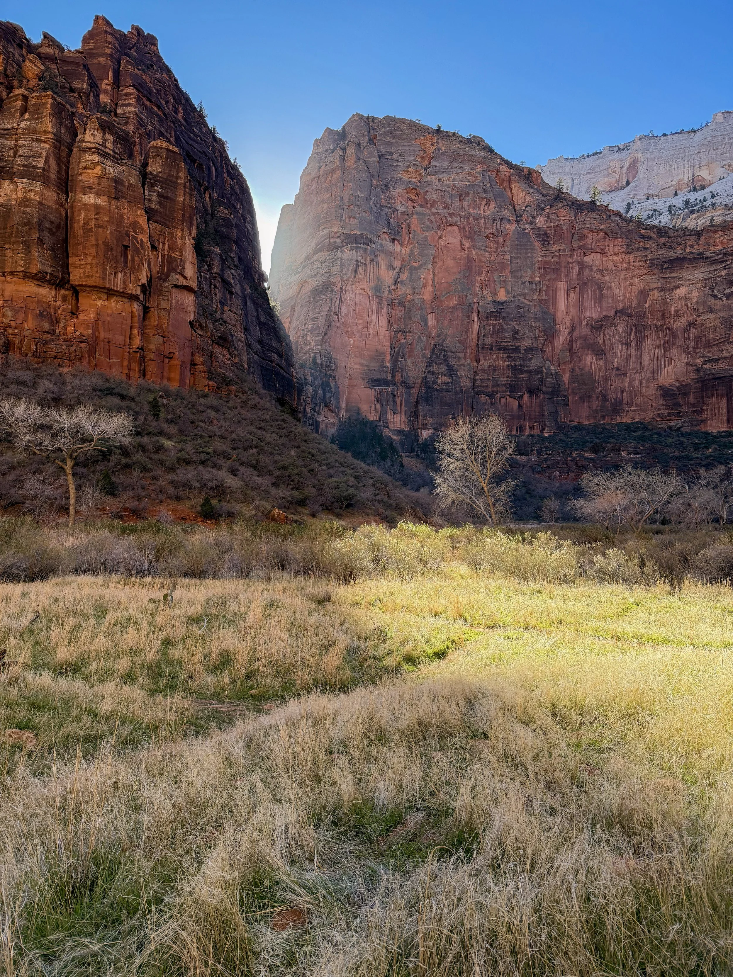 Zion National Park