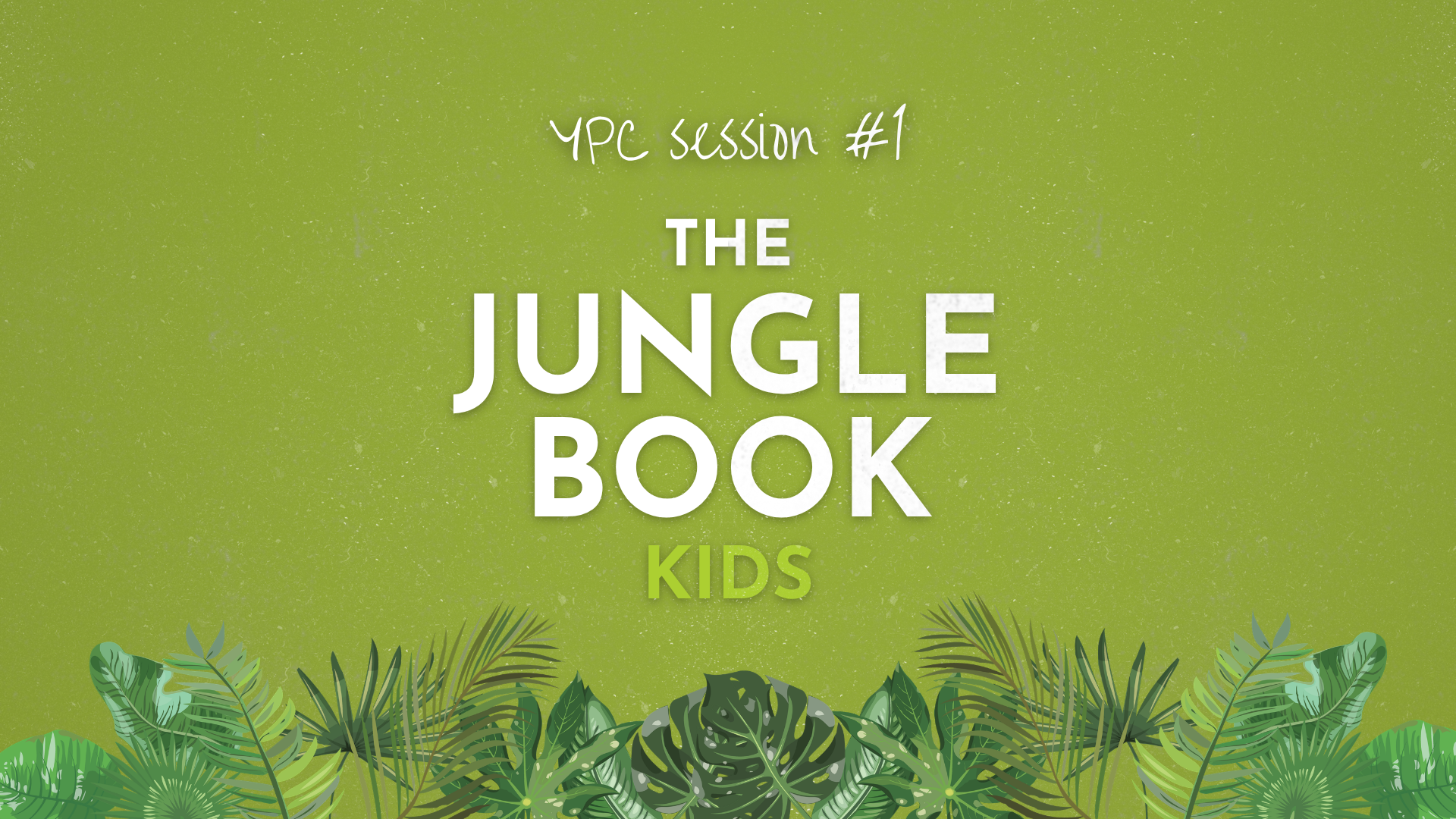 The Jungle Book KIDS