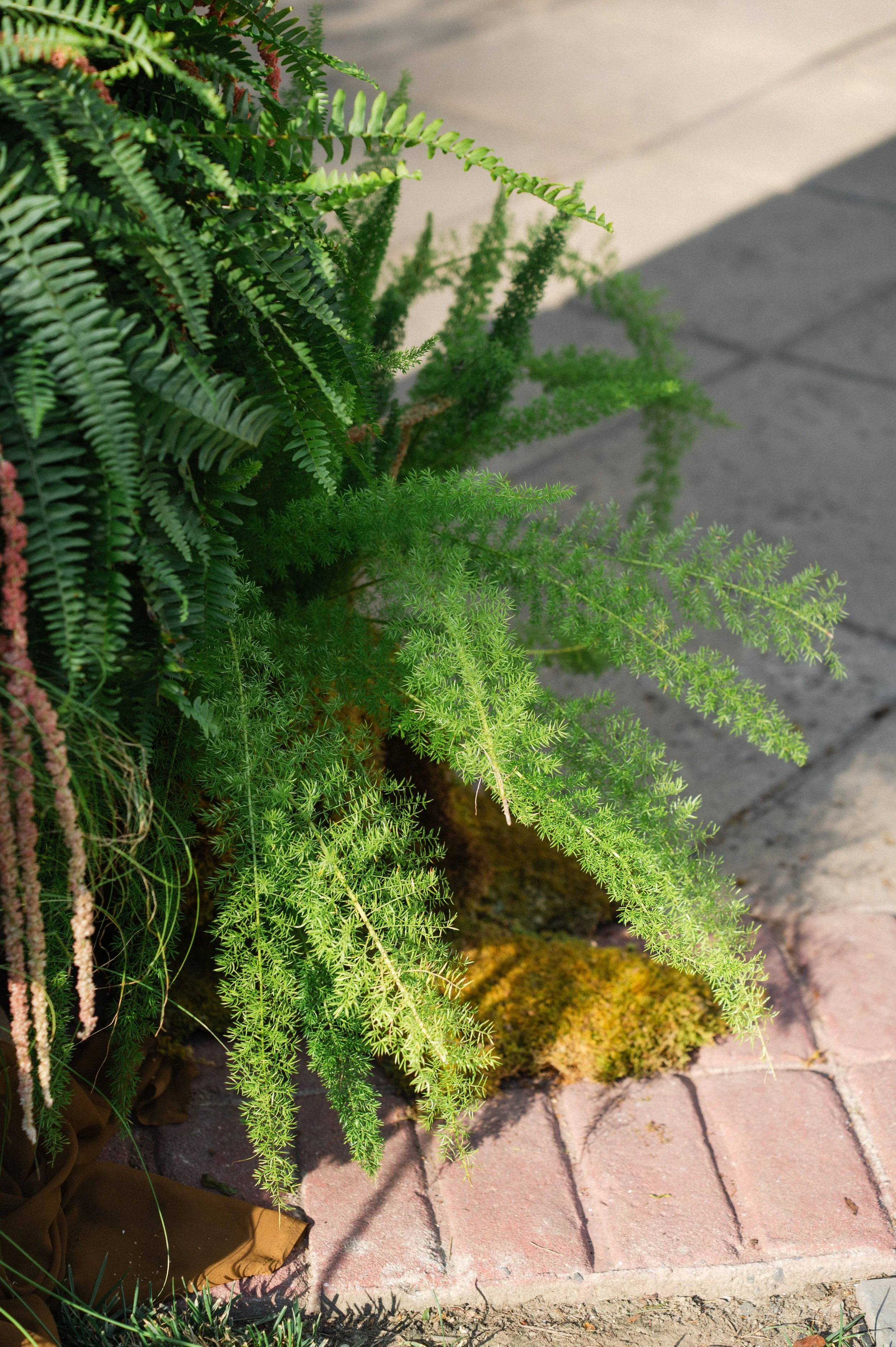 colorful wedding florals