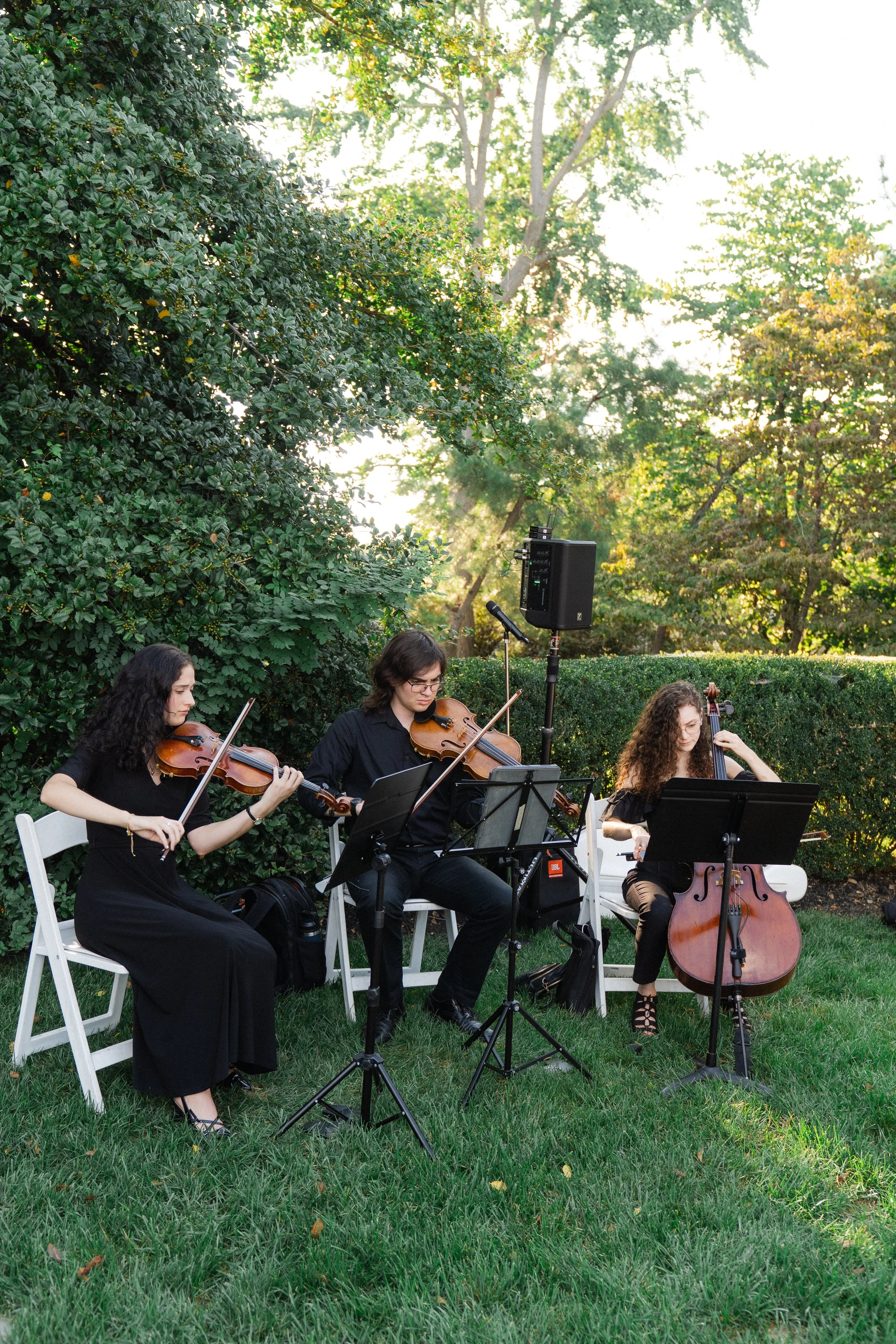 philadelphia wedding violinist