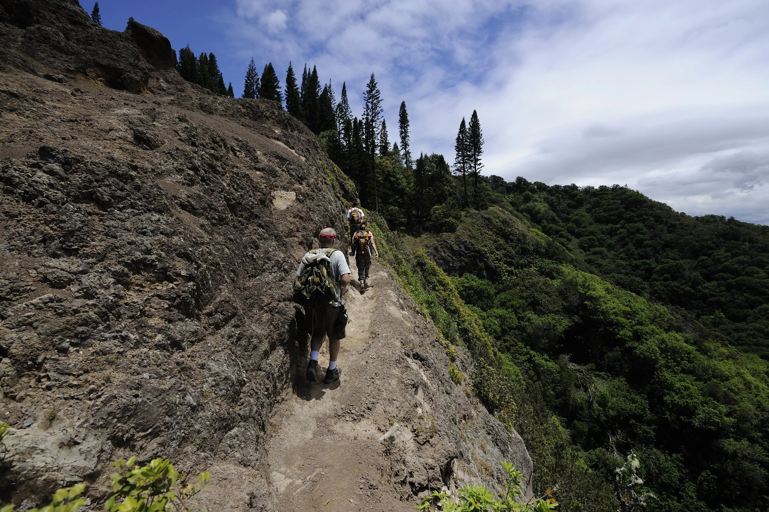 Palikea Kāhuli Snail Enclosure Workday with Oʻahu Army Natural Resources Program