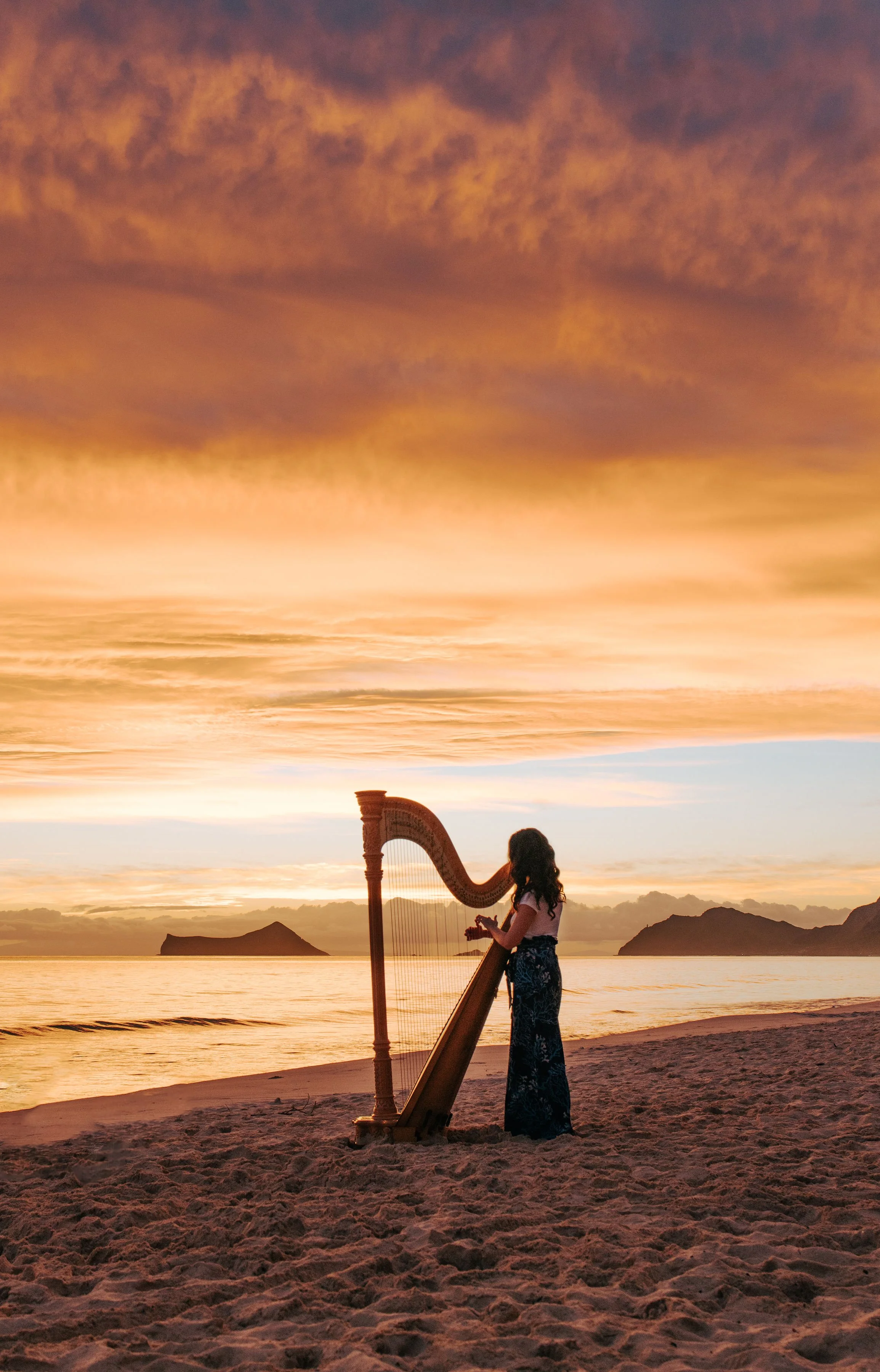 A Harpist at the Ossipoff Cabin featuring Megan Conley