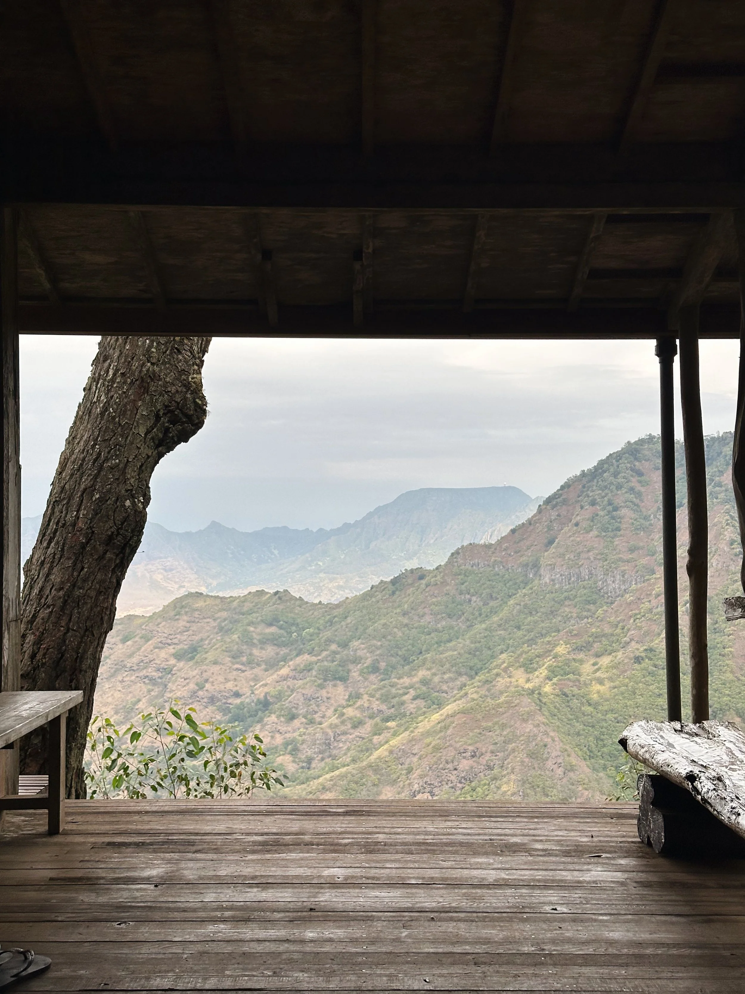 D09F60C4-4CE1-4F5A-8C39-710EEC75217C.jpg (Copy)