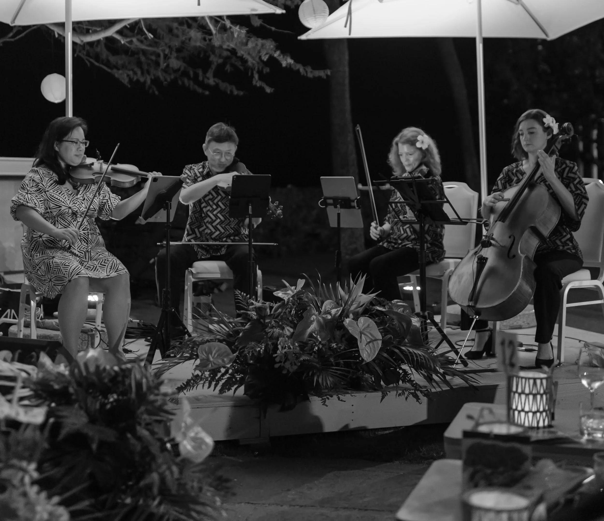 String Performance with The Galliards at Ossipoff Cabin - December 7