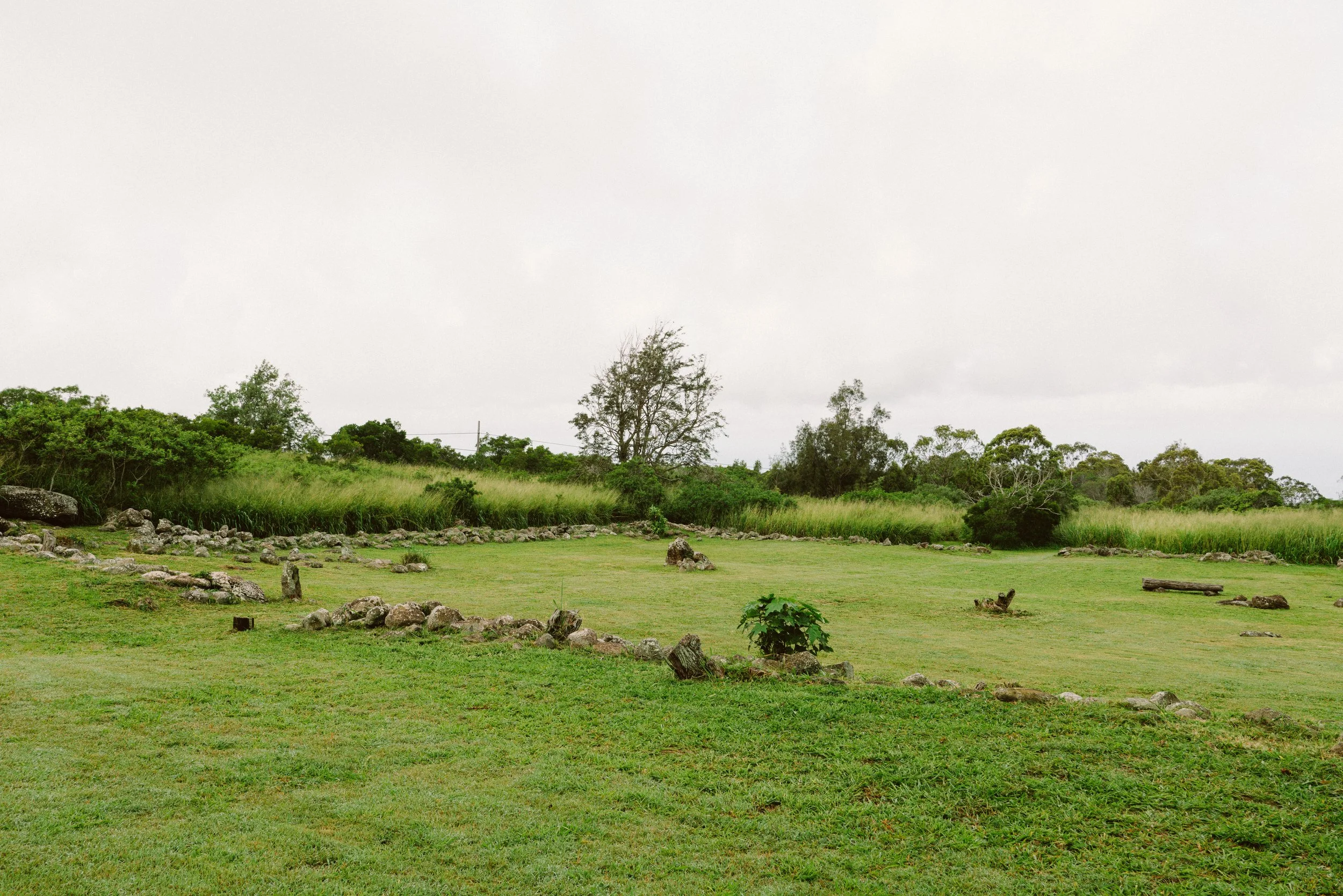 Palehua-Thomas-1502 (1).jpg