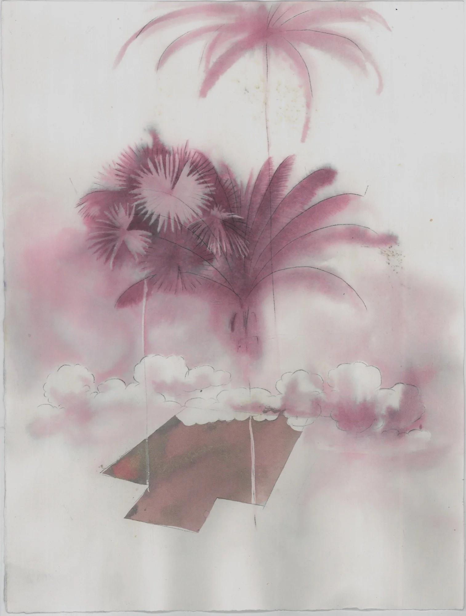 PALLADIO AND PALM TREE