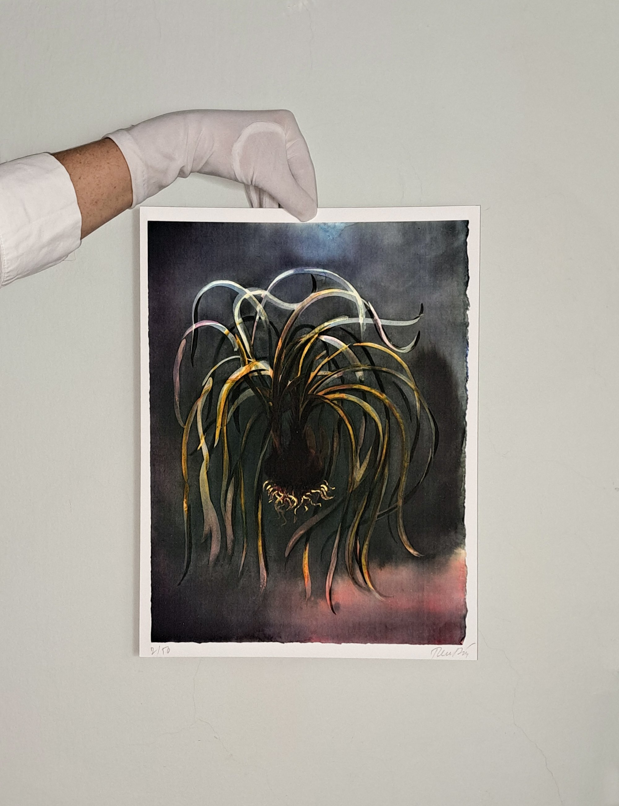 cibule_print_2000.jpg