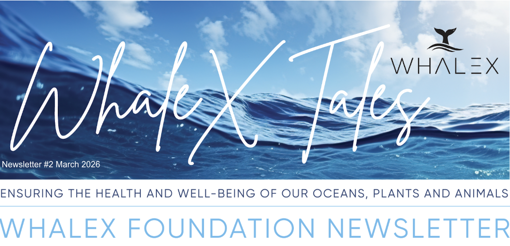 Newsletter #2 March 2026