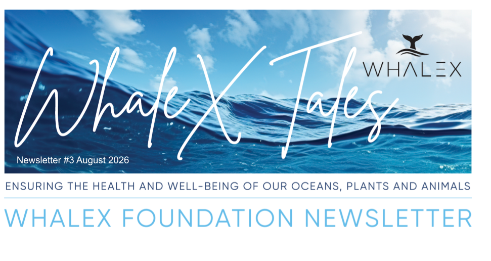 Newsletter #3 August 2026