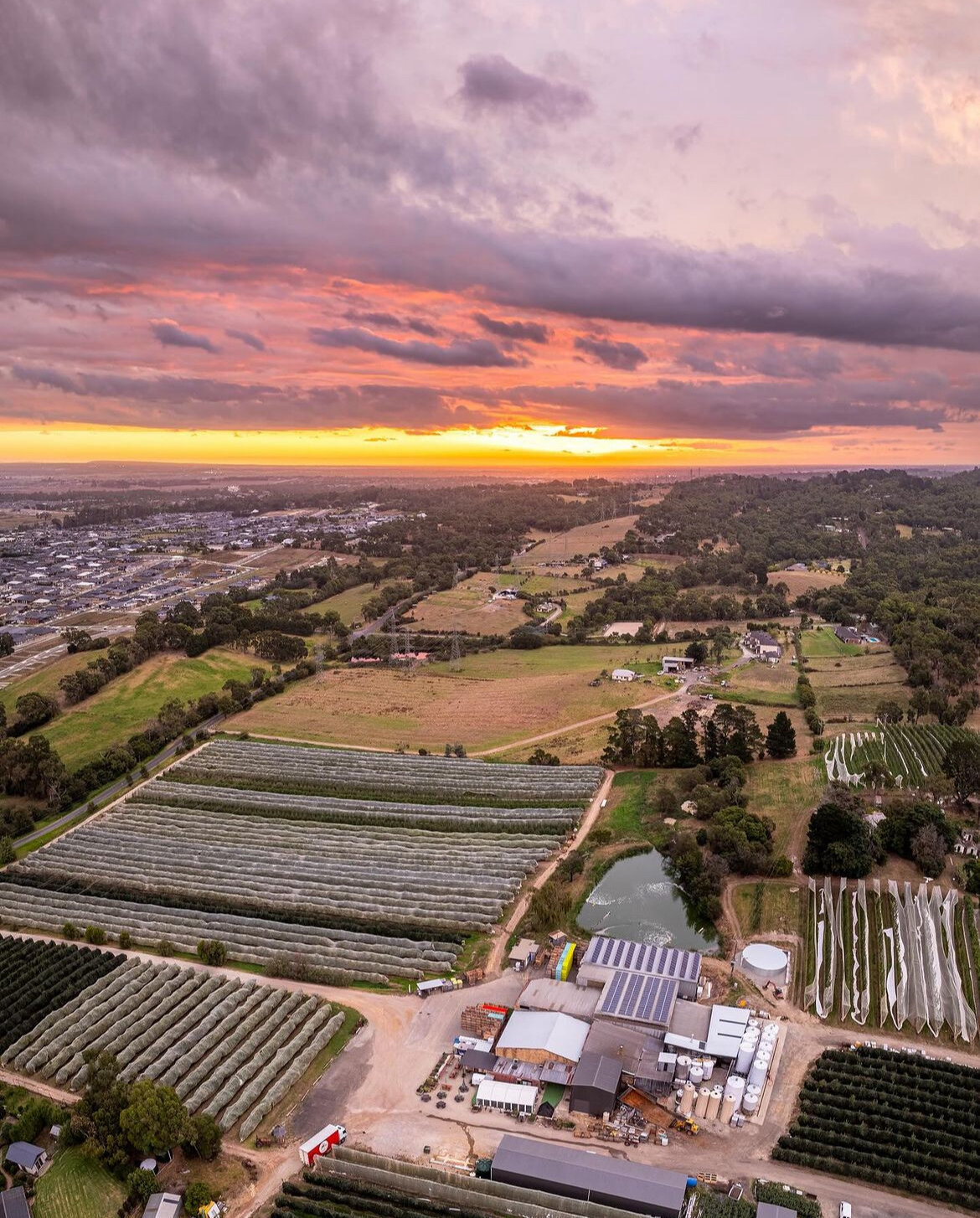 Our beautiful orchard from above 🍎
Its always great to see the orchard from a different perspective, especially during picking season, you get to see the rows we start picking earlier than others 
Thank you Daniel for capturing this awesome photo !
