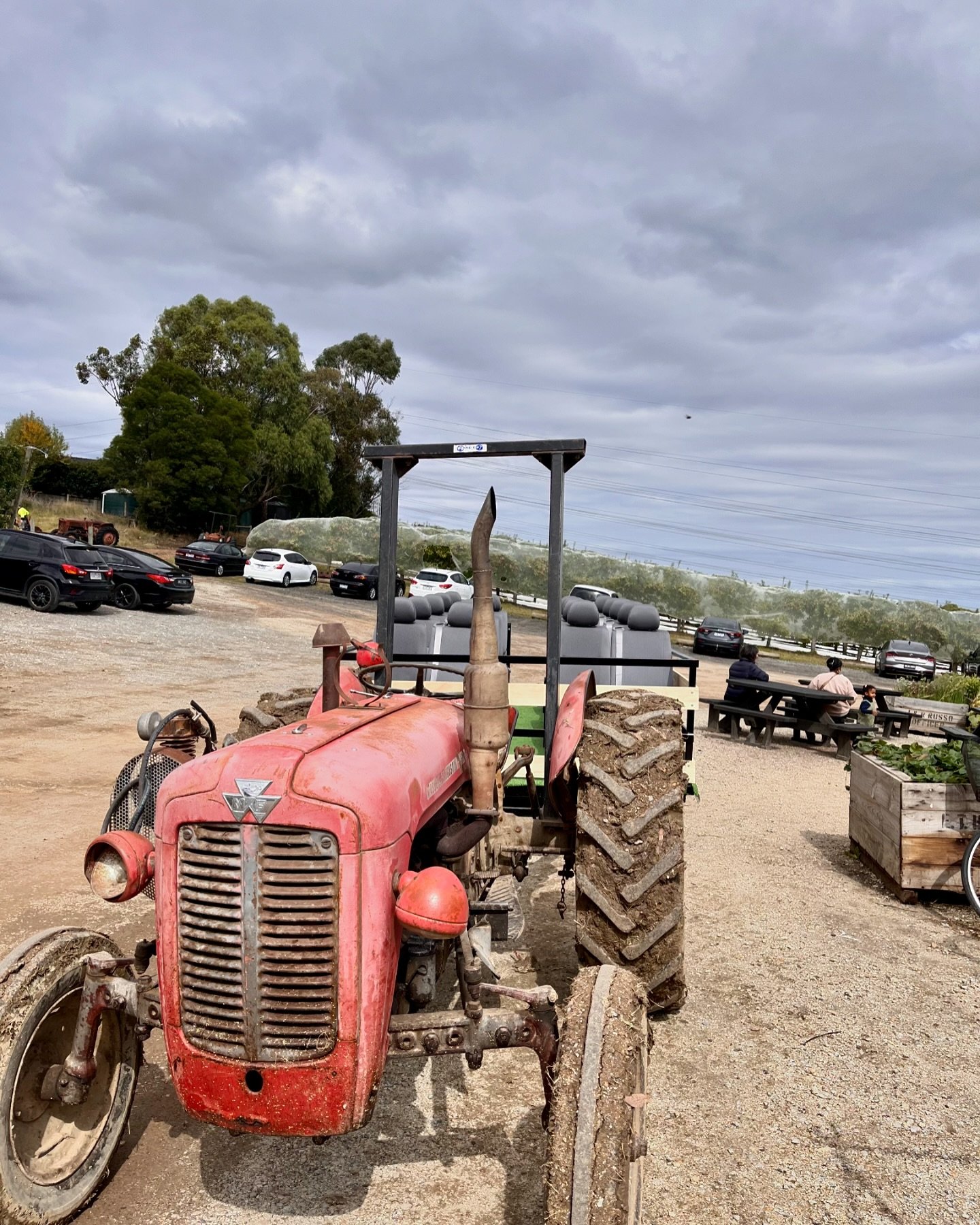 Who&rsquo;s joining us for a tractor ride in the sun this weekend ? 🌞
The weather is looking perfect for a tractor ride and some apple picking 🍎

Make sure to grab your You-Pick tickets from the link in our bio
We&rsquo;ve got Pink Lady&rsquo;s and