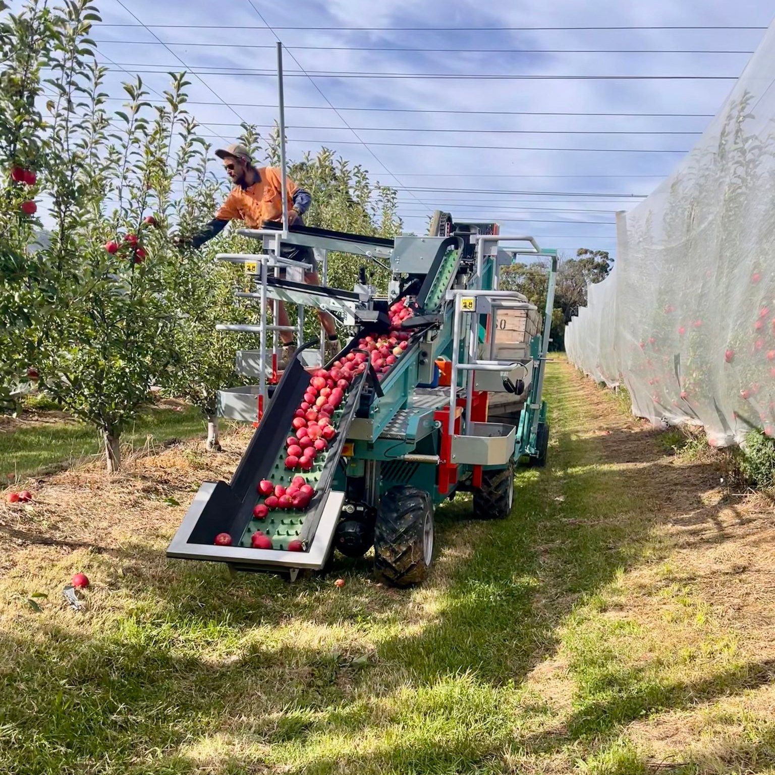 Picking season dump 🍎

1. One of the first weeks picking with our new platform, Ed picking Gal apples
2. Dean and Jon taking the boat out for a spin on the dam 
3. 4 excited faces pictured when our picking platform first arrived 
4. Noah picking Fuj