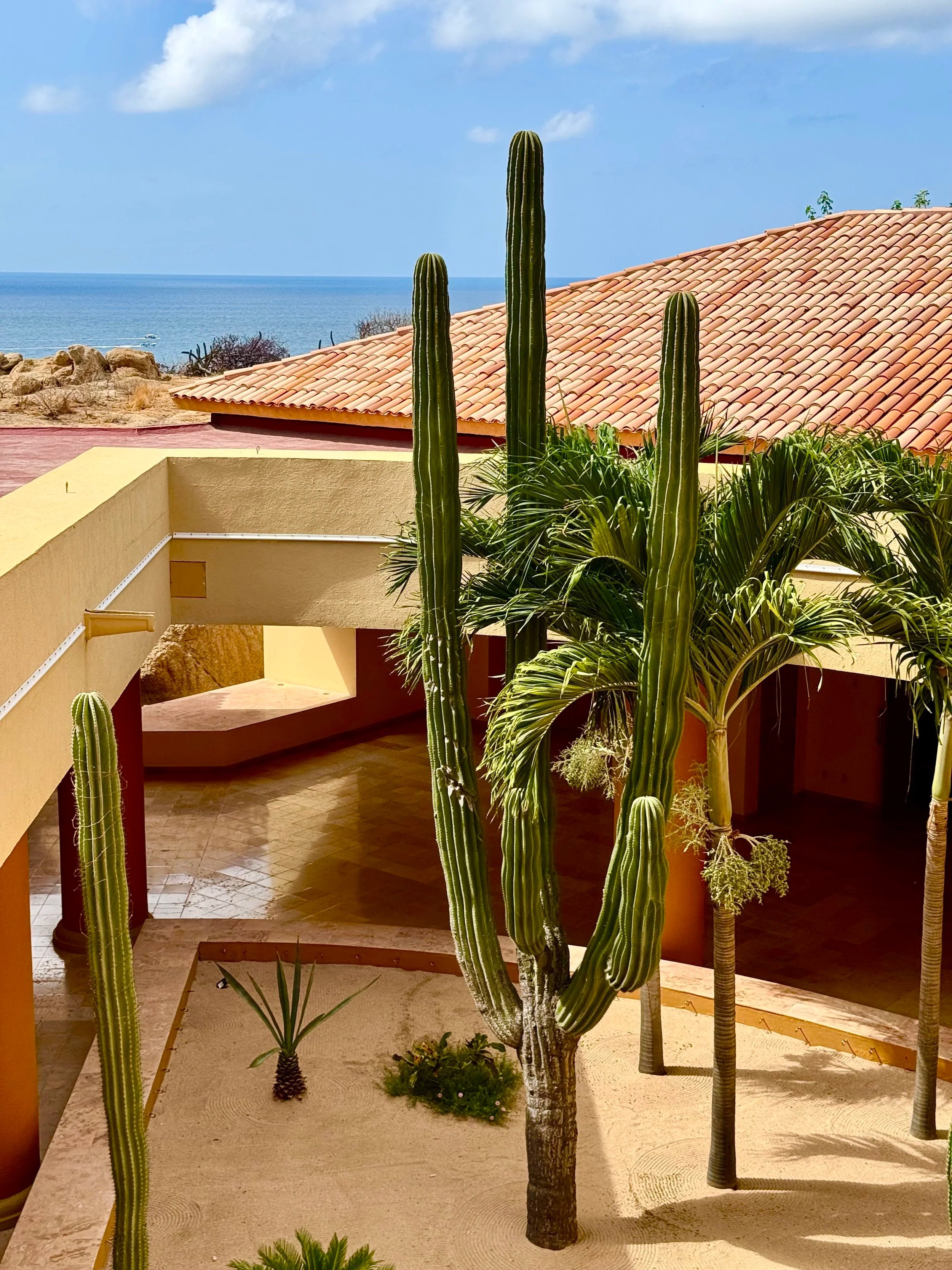 grand-fiesta-americana-color-palette.jpg