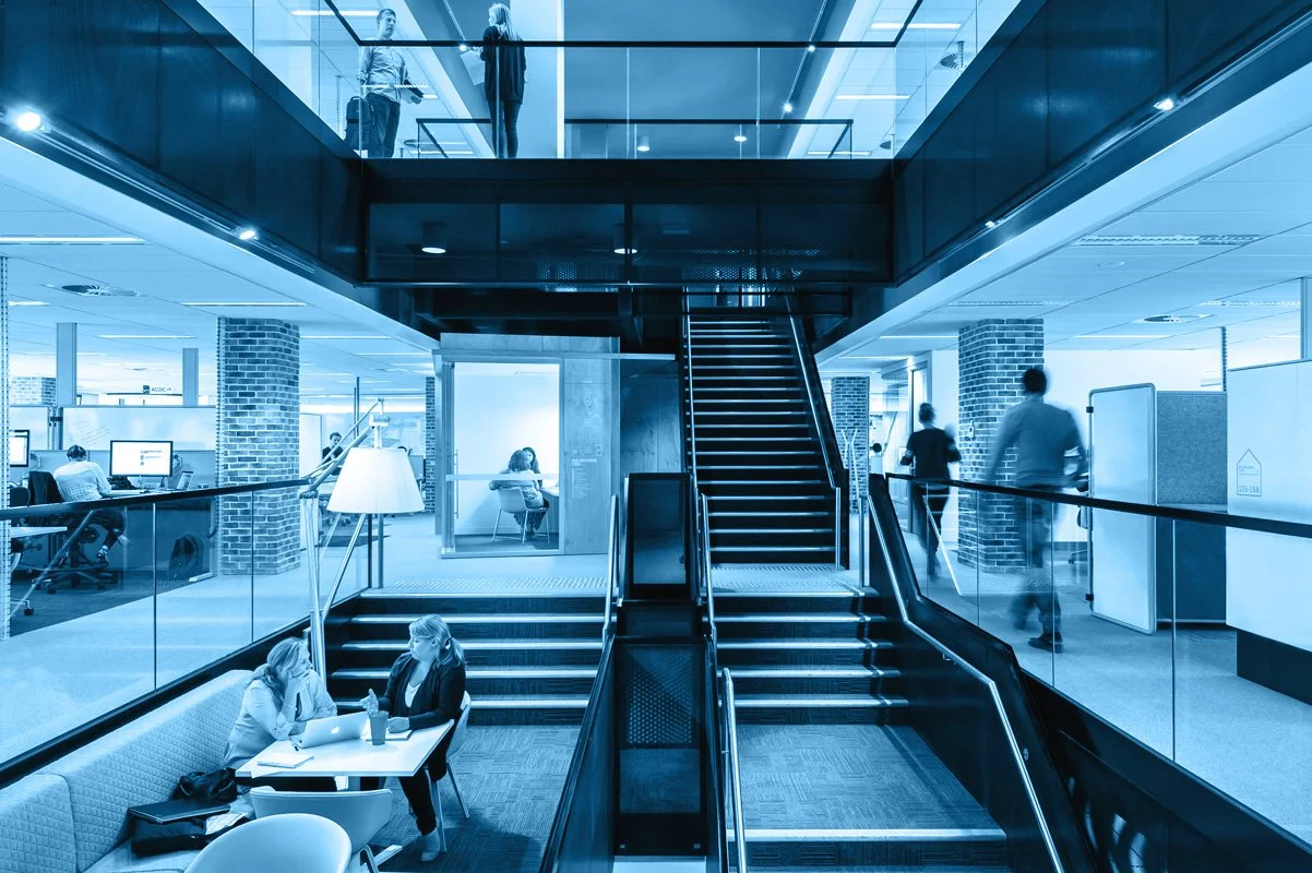 WORKPLACE INSIGHT — Next Workplace