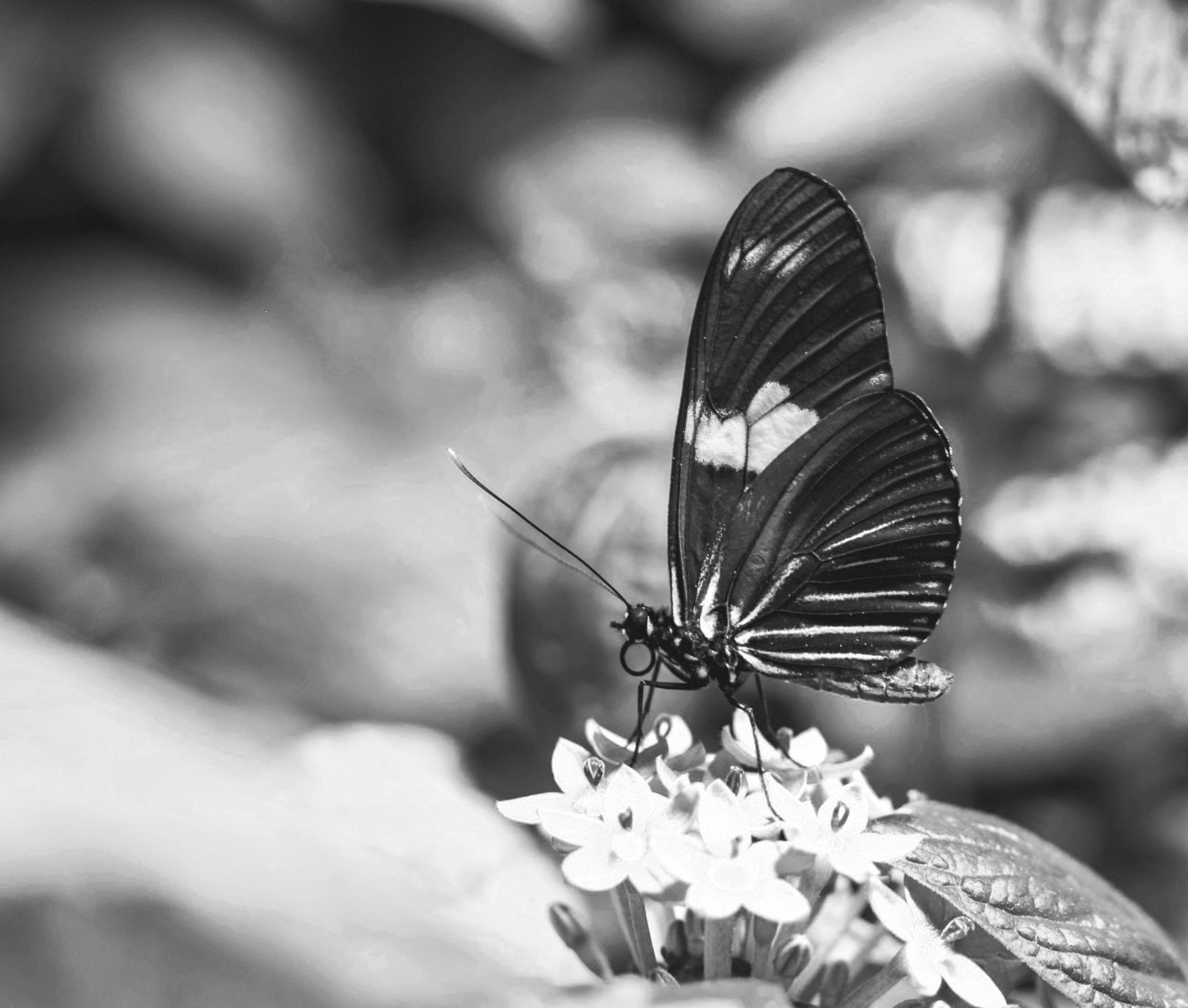 Giving up on Evangelism: what people try: Part 2