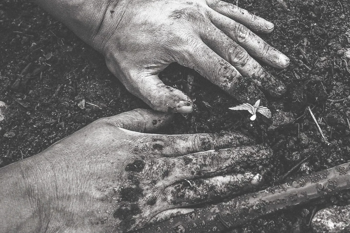 Social Justice and the Church: Gains, Missed Hopes, and a Swinging Pendulum
