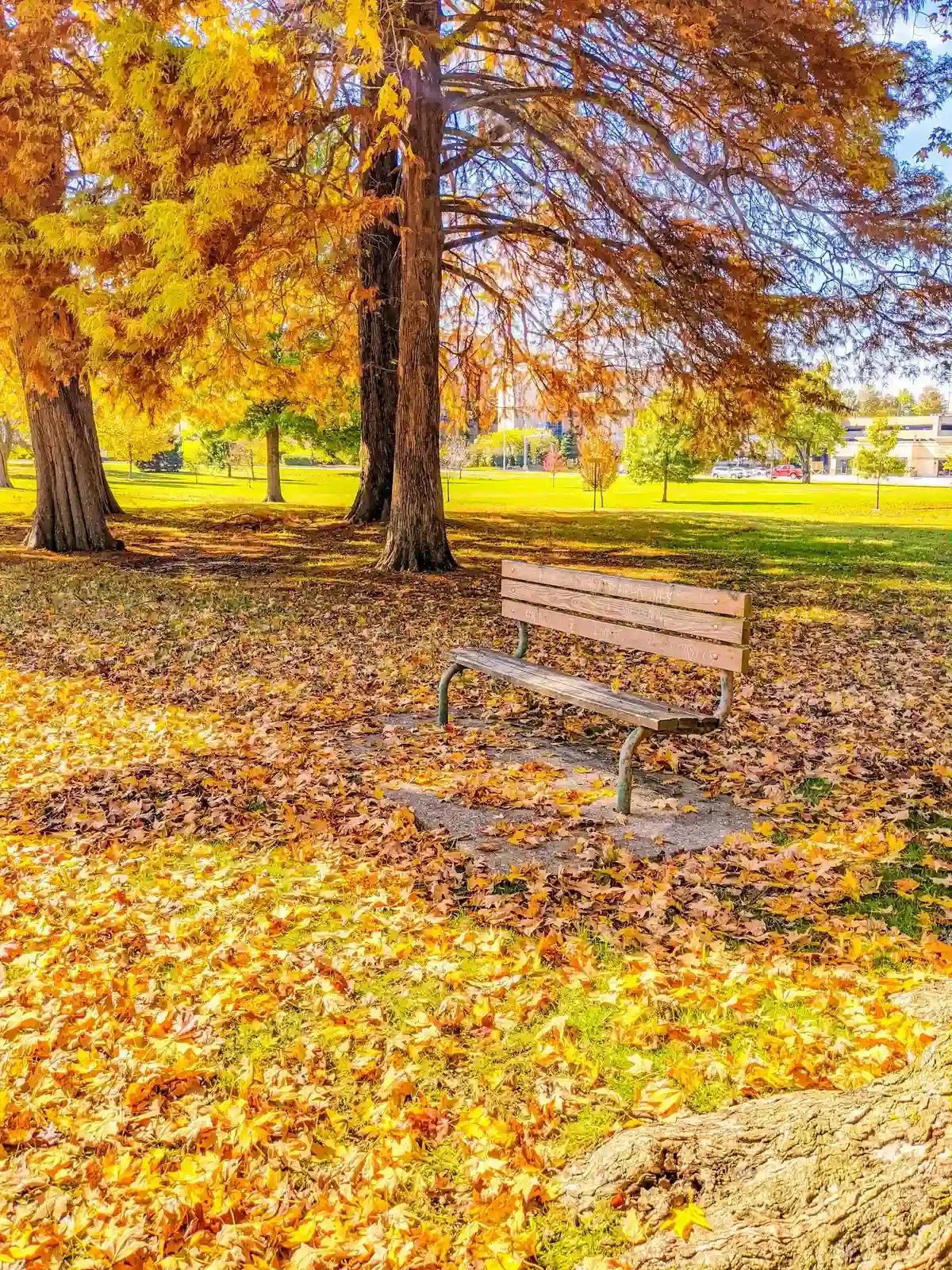Why Is It So Hard to Sit With Difficult Emotions? What IFS and Attachment Have Taught Me About Healing
