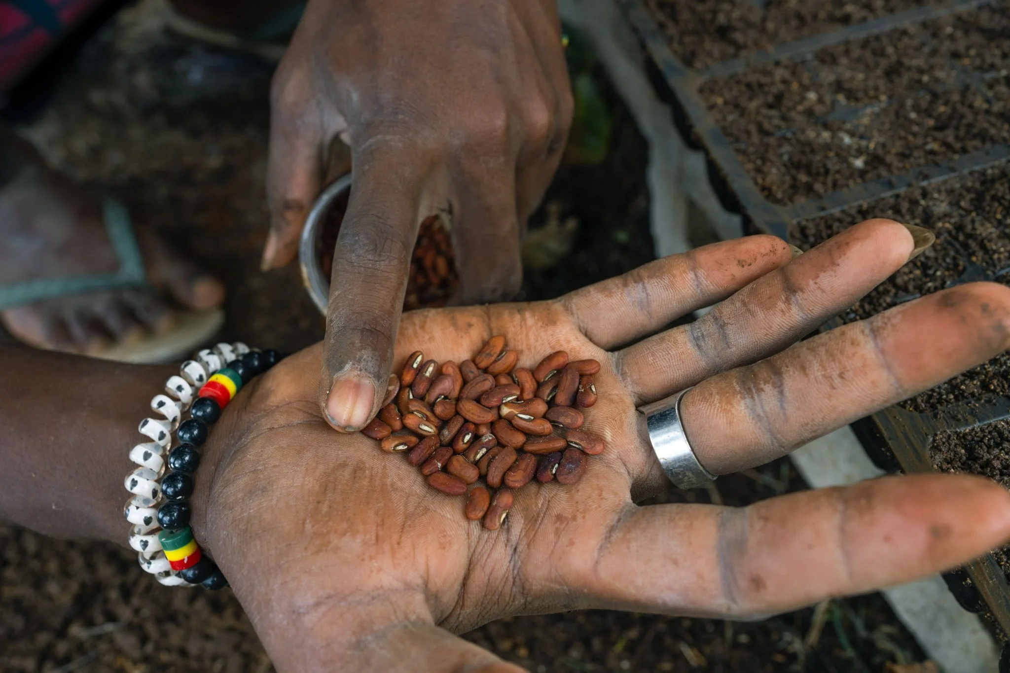 Shift - Vanuatu - 2024 - Dausake - web ready-05.jpg