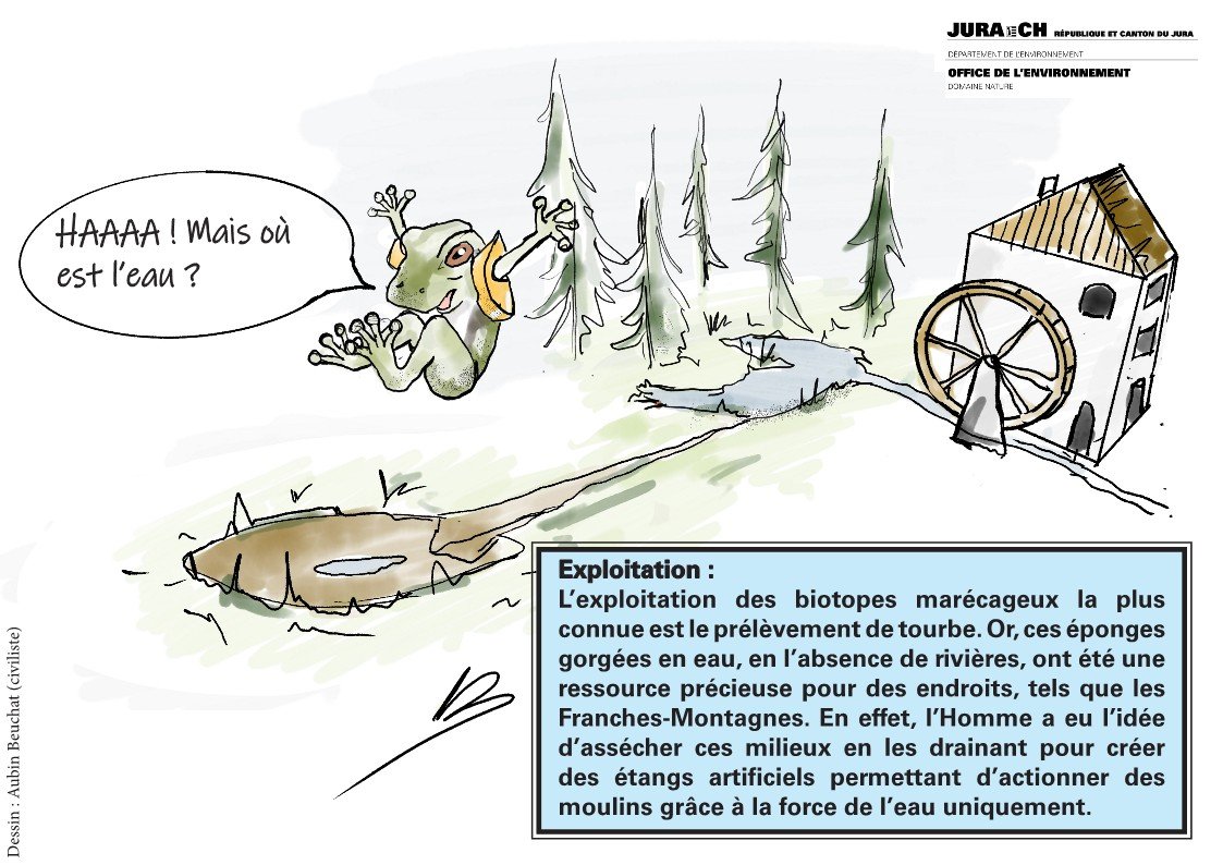 Office de l'Environnement; dessin: Aubin Beuchat