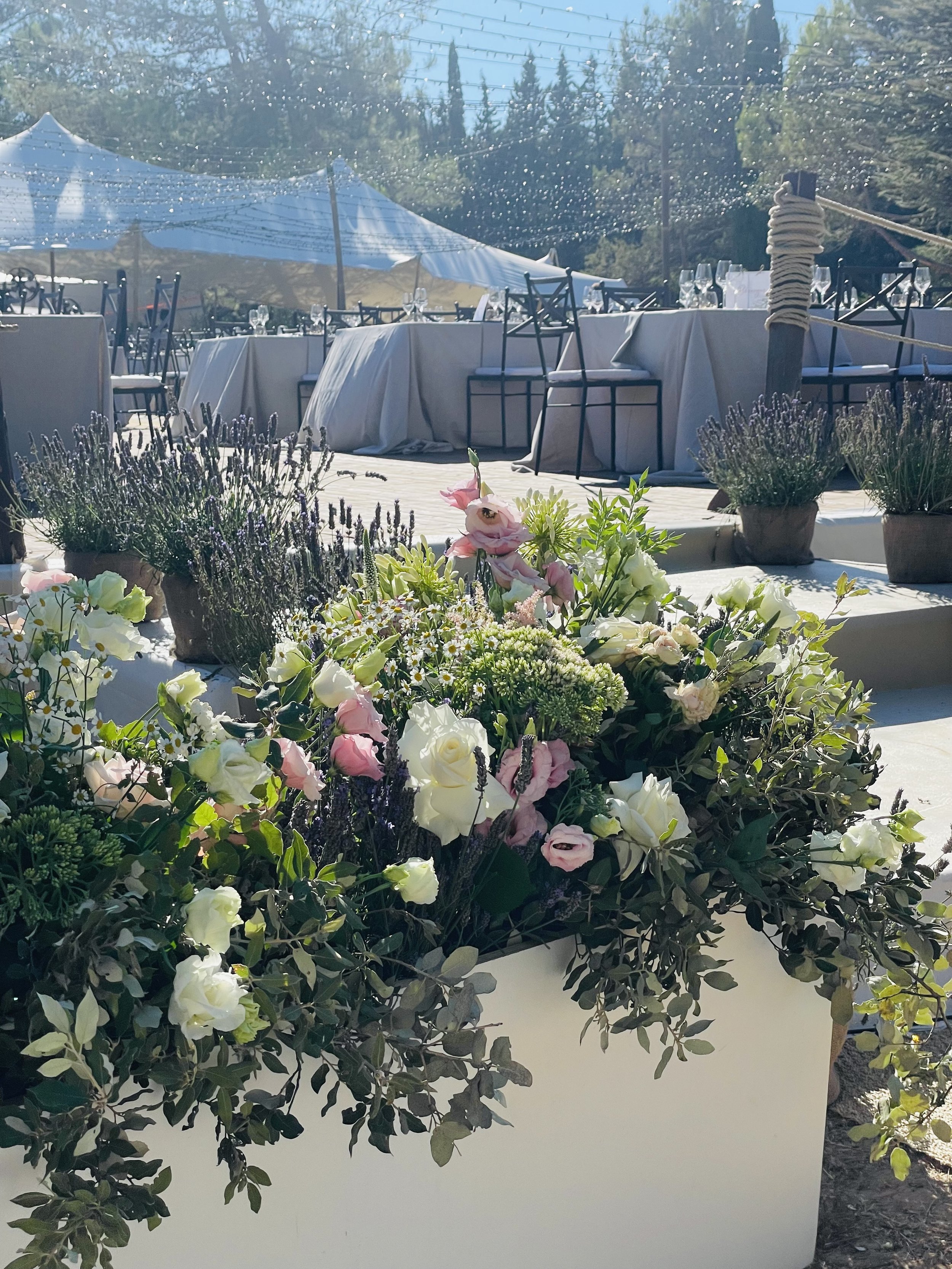 victoire-jeanne-mariage-fleuriste-fleurs-livraison-enterrement-marseille-var-sanary-toulon8766.jpeg