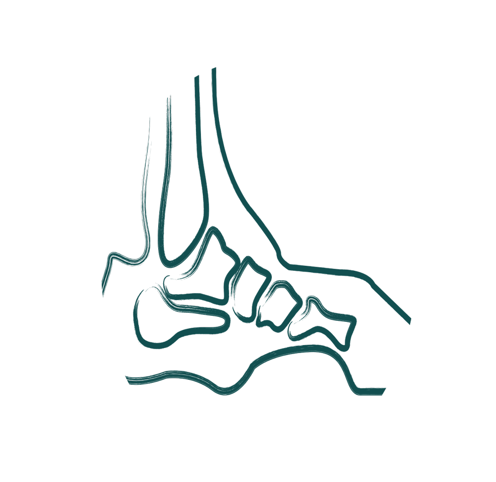 Beacon Orthopaedics Trusted Specialist Care for Bone, Joint, and