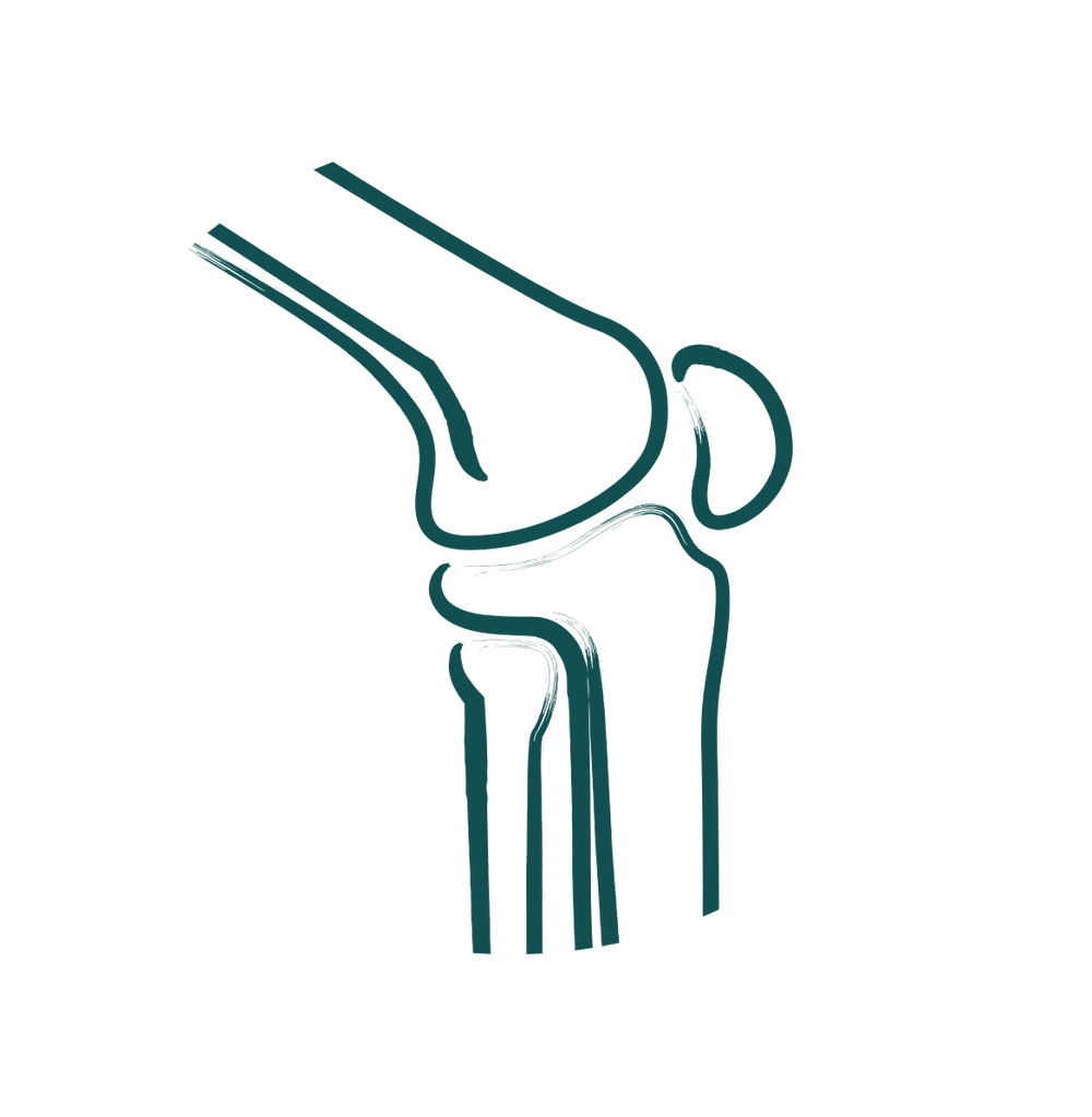 Beacon Orthopaedics Trusted Specialist Care for Bone, Joint, and