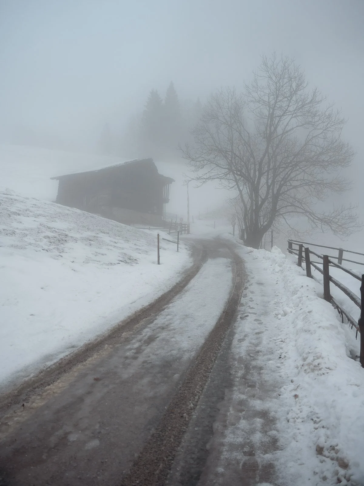 Schneebedeuer Straße mit Reifenspuren, im Nebel eine kleine Hütte, ein kahler Baum und ein Holzgeländer.
