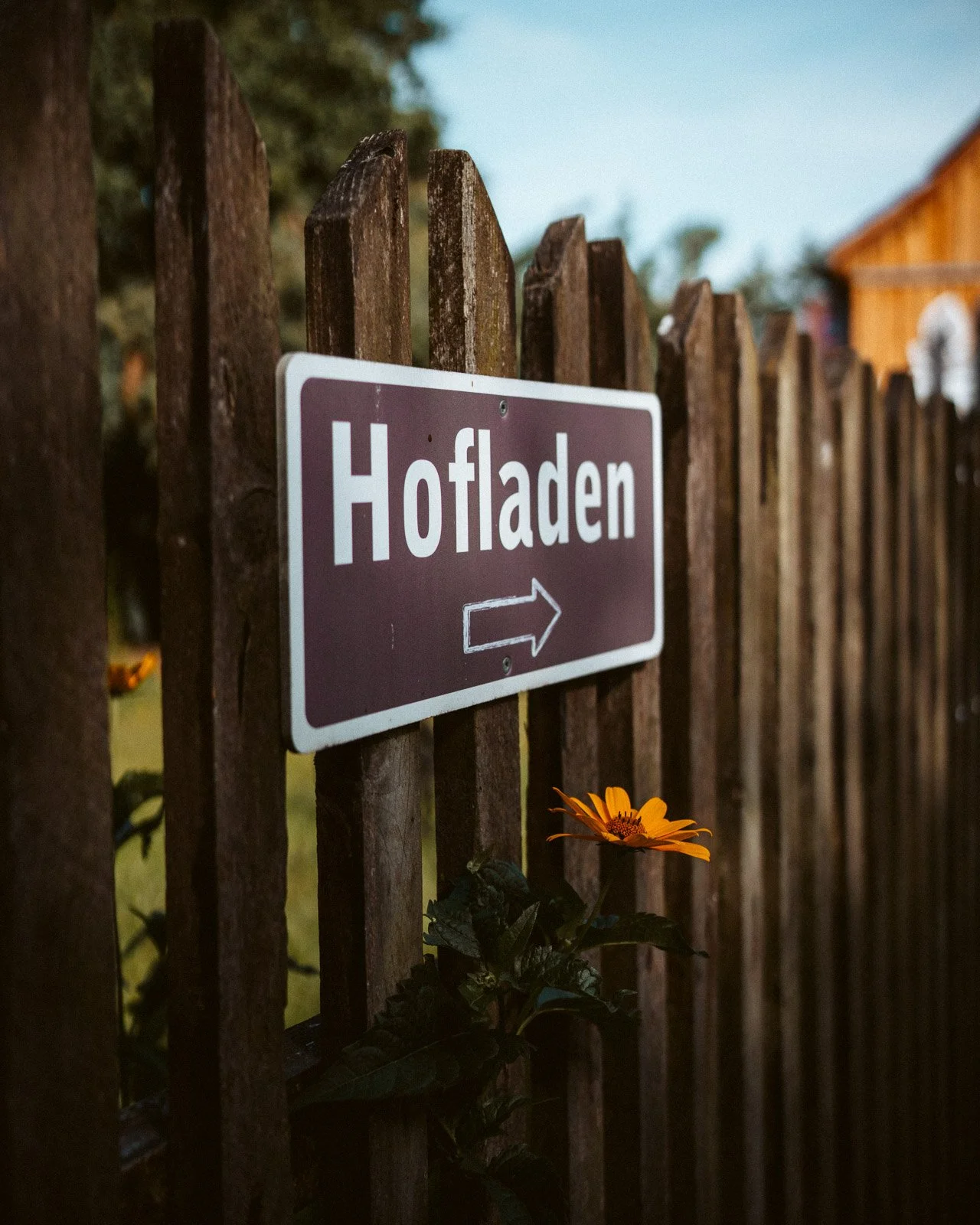 Ein Wegweiser an einem Holzzaun zeigt nach rechts und trägt die Aufschrift 'Hofladen'.