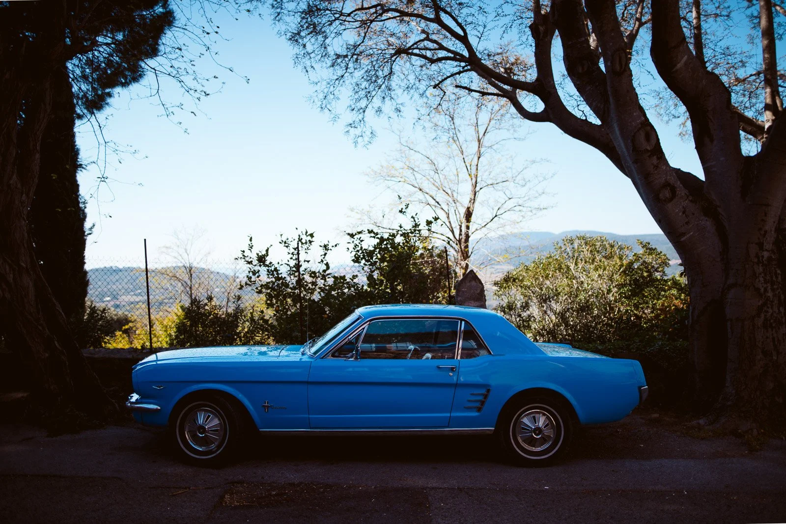 Ein blauer, klassischer Ford Mustang im Freien, umgeben von Bäumen und Bergen bei klarem Himmel.