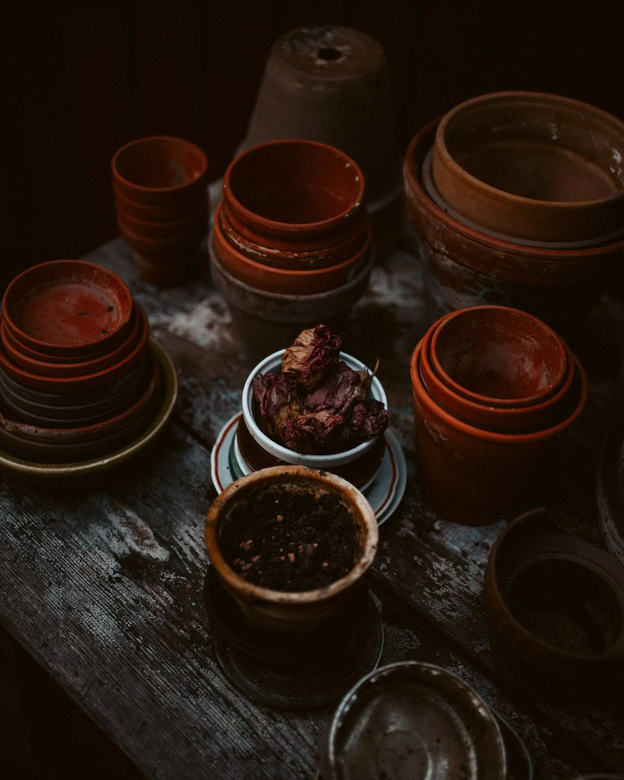 Kai Branss Portfolio-32.jpg