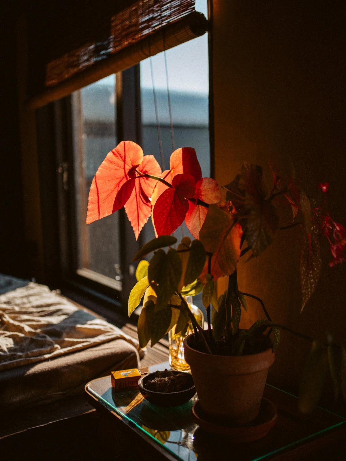 Kai Branss Portfolio-39.jpg