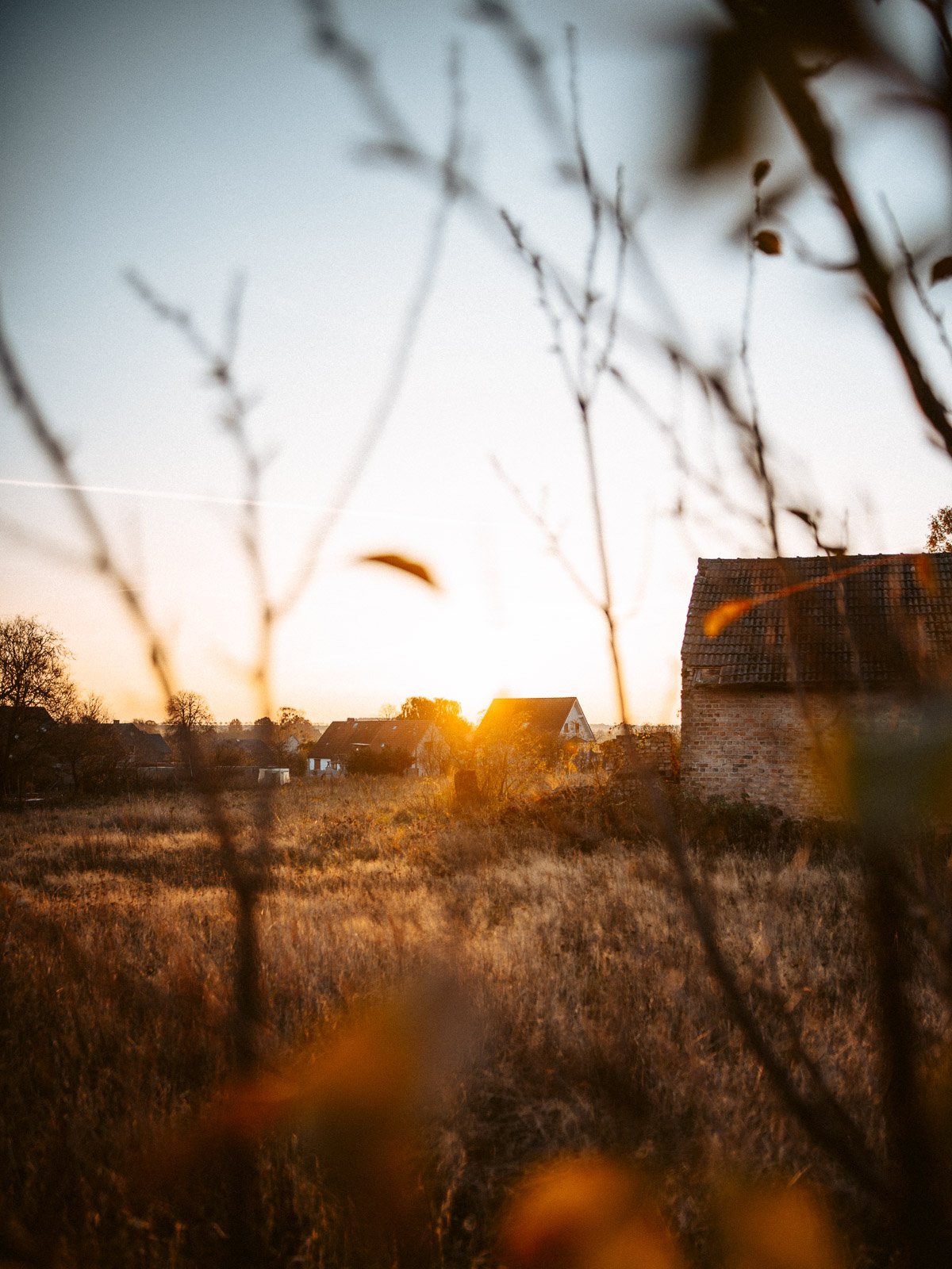 Kai Branss Portfolio-44.jpg