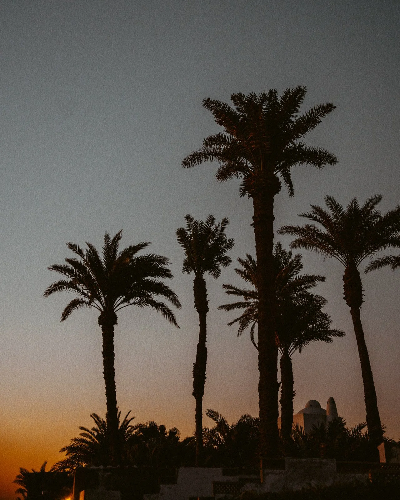 Kai Branss Portfolio-43.jpg