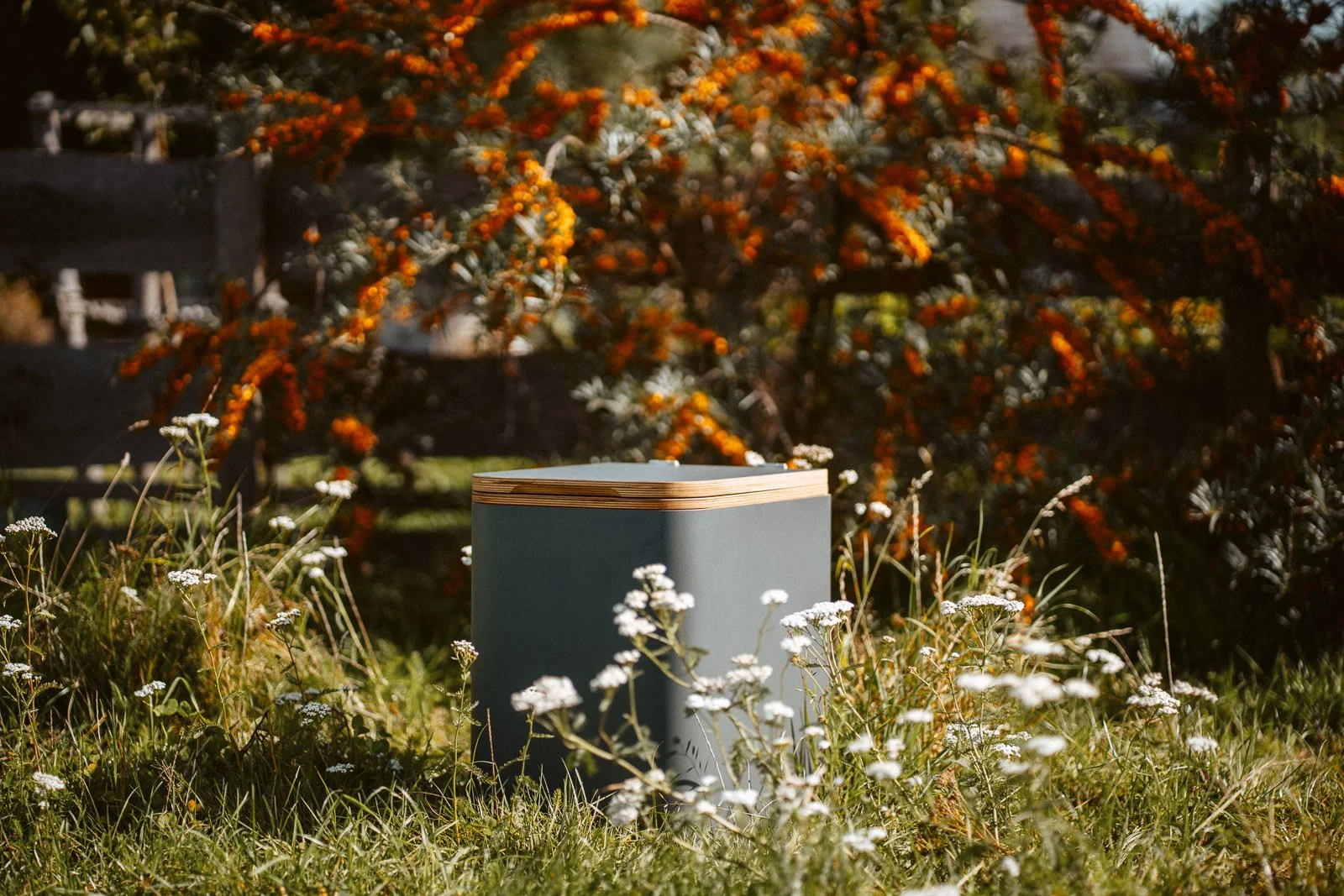 Ein stilvoller grauer Mobiles Klavier auf einer Wiese mit weißen Wildblumen, im Hintergrund ein Baum mit orangefarbenen Beeren, sonniges Wetter.