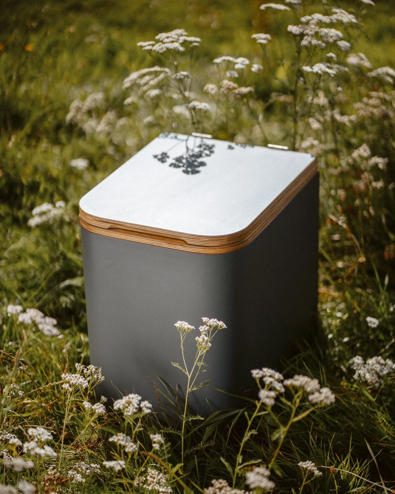 Ein moderner Kubus-Mülleimer in einem Feld mit weißen Blumen, mit reflektierendem Deckel, der die Blumen widerspiegelt.