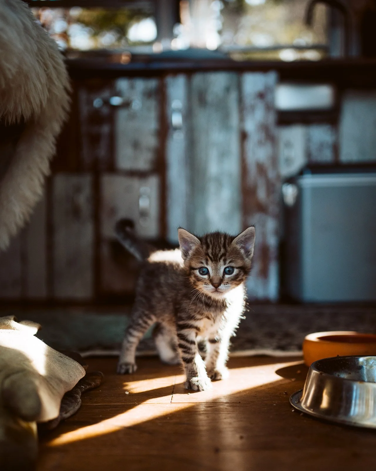 Kai Branss Portfolio-31.jpg